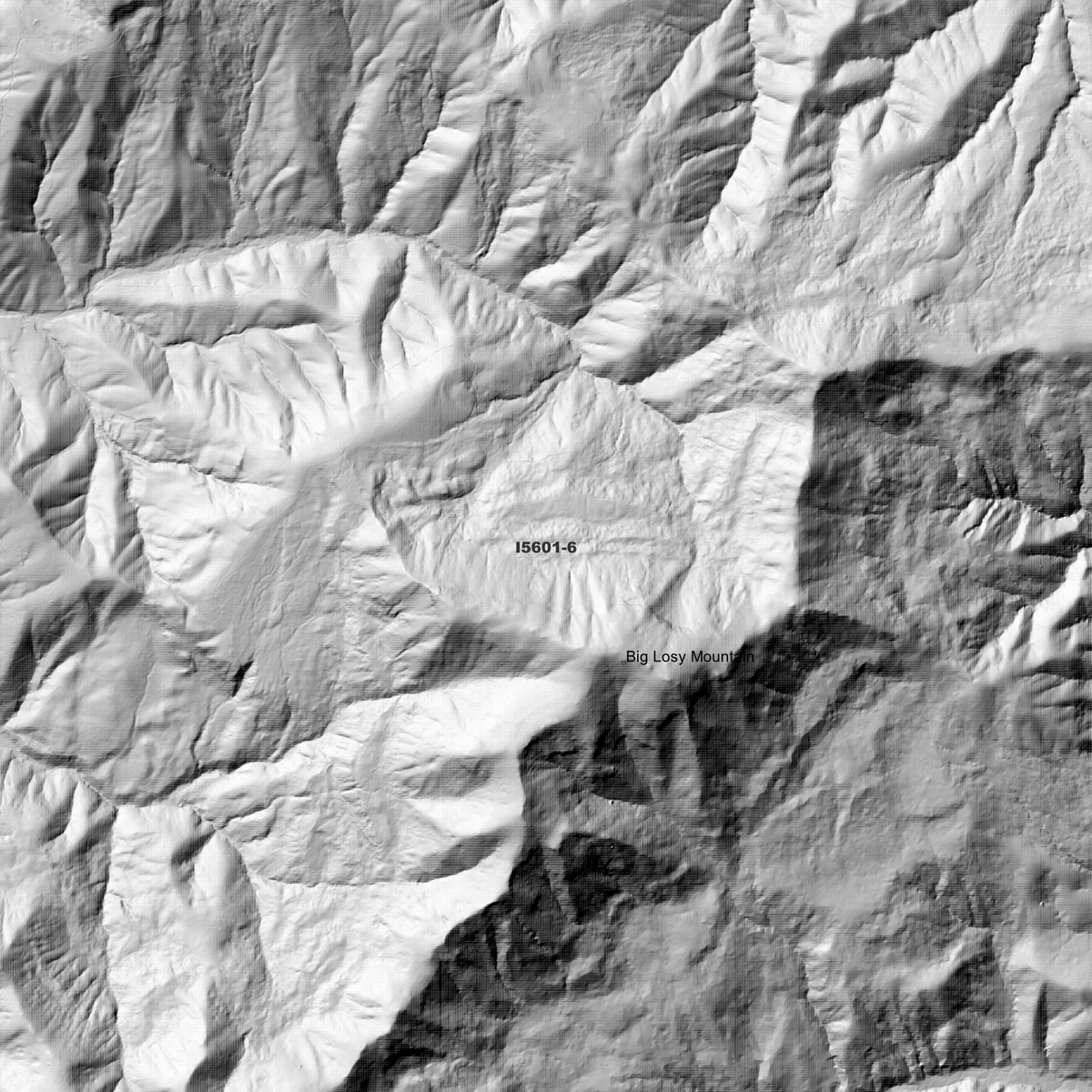 Allyn 2m Digital Elevation Models (I5601-6)