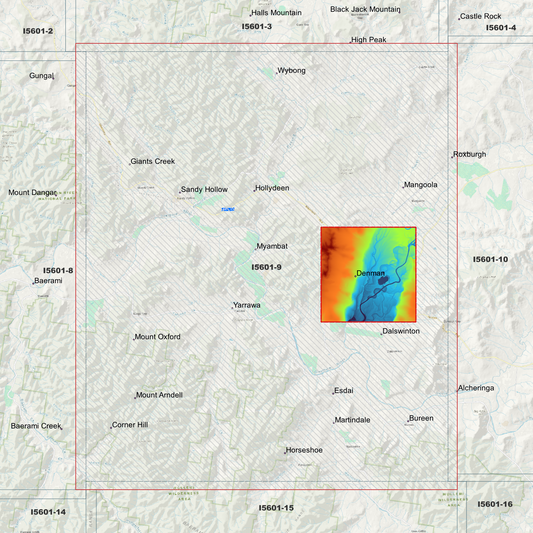 Denman 1m Digital Elevation Model (I5601-9)