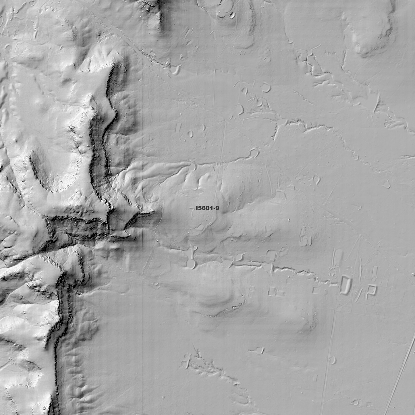 Denman 1m Digital Elevation Model (I5601-9)