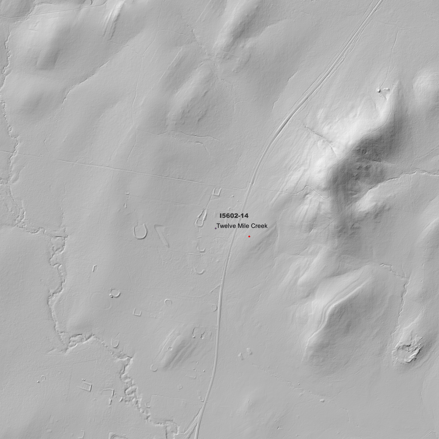 Medowie 1m Digital Elevation Model (I5602-14)