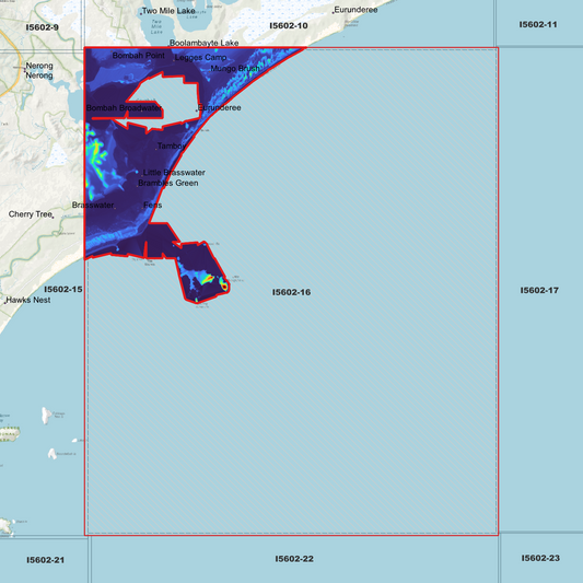 Bombah 1m Digital Elevation Model (I5602-16)
