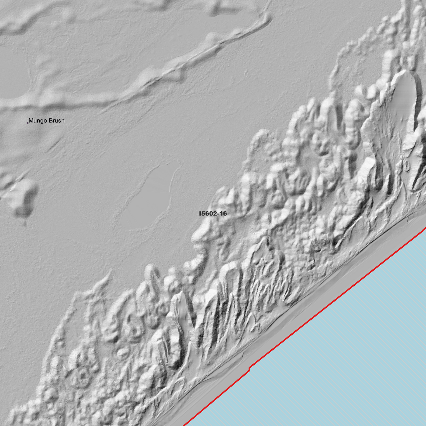 Bombah 1m Digital Elevation Model (I5602-16)
