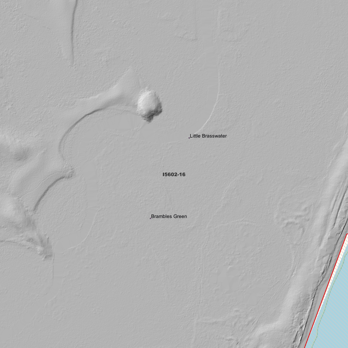Bombah 1m Digital Elevation Models (I5602-16)