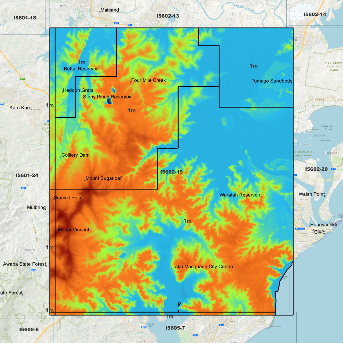 Hexham 1m Digital Elevation Models (I5602-19)