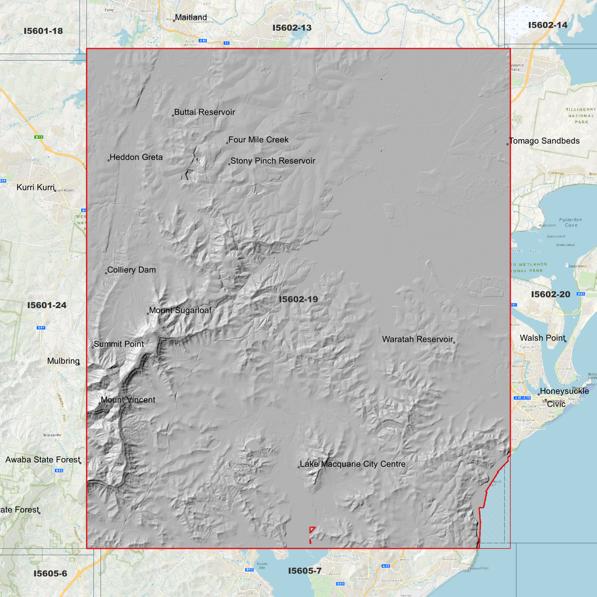 Hexham 1m Digital Elevation Models (I5602-19)