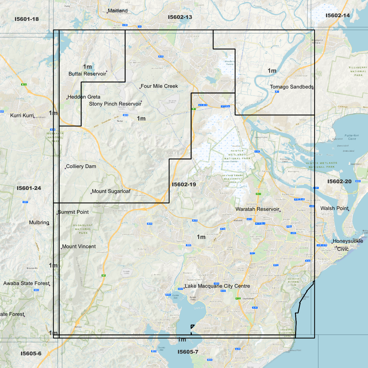 Hexham 1m Digital Elevation Models (I5602-19)
