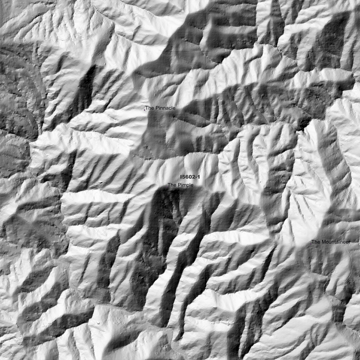 Chichester 2m Digital Elevation Models (I5602-1)