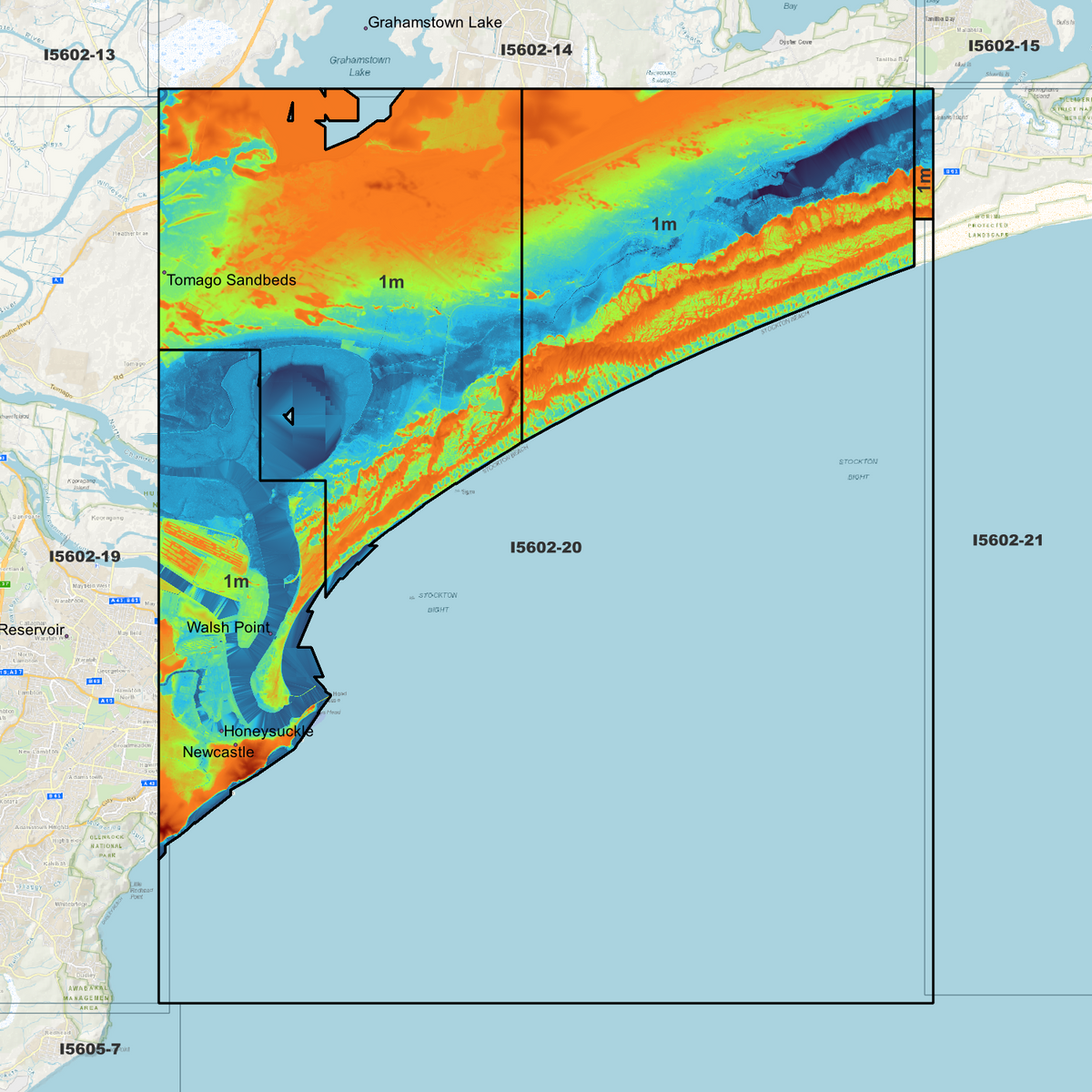 Newcastle 1m Digital Elevation Models (I5602-20)