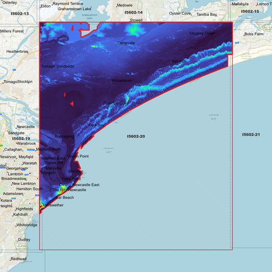 Newcastle 1m Digital Elevation Model (I5602-20)