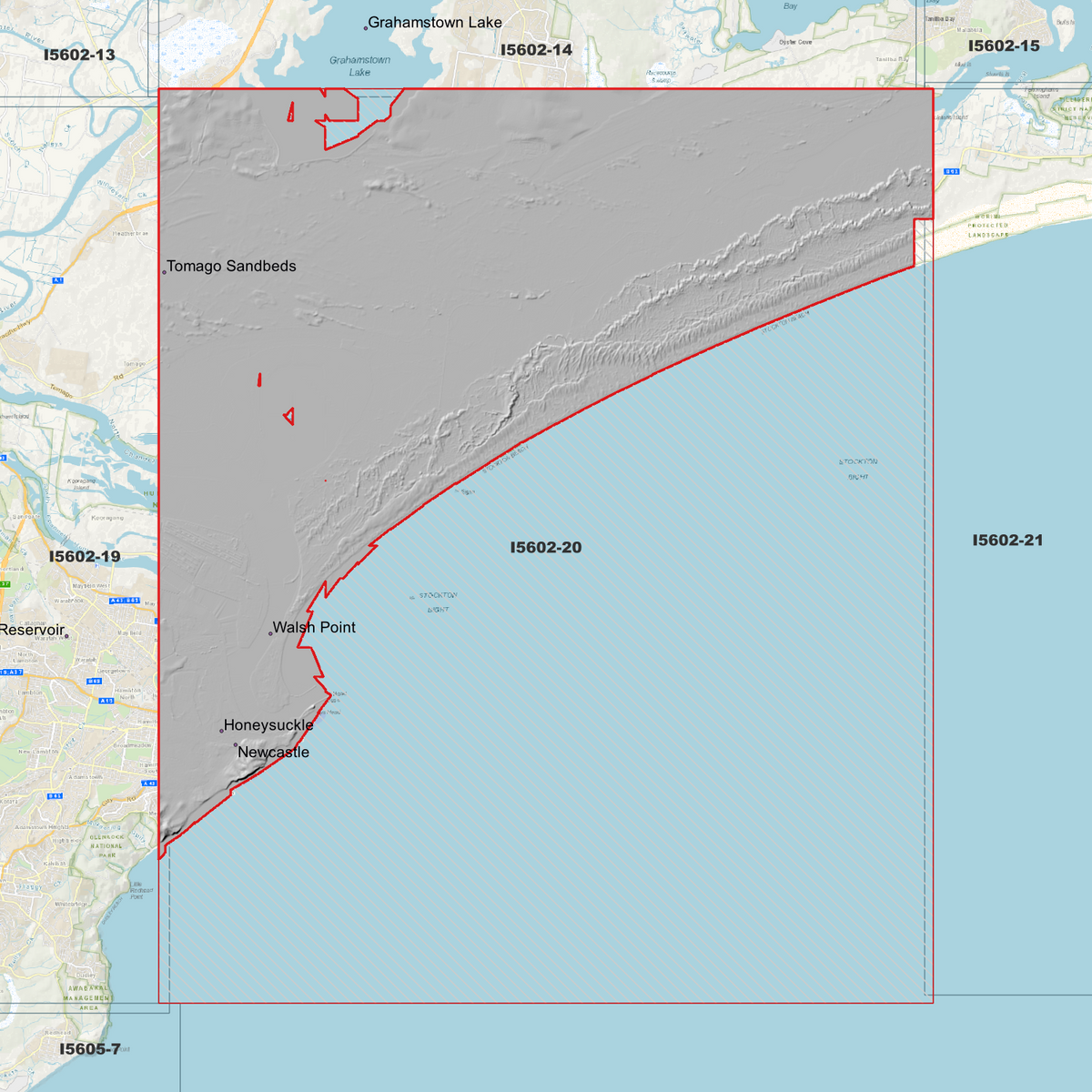 Newcastle 1m Digital Elevation Models (I5602-20)