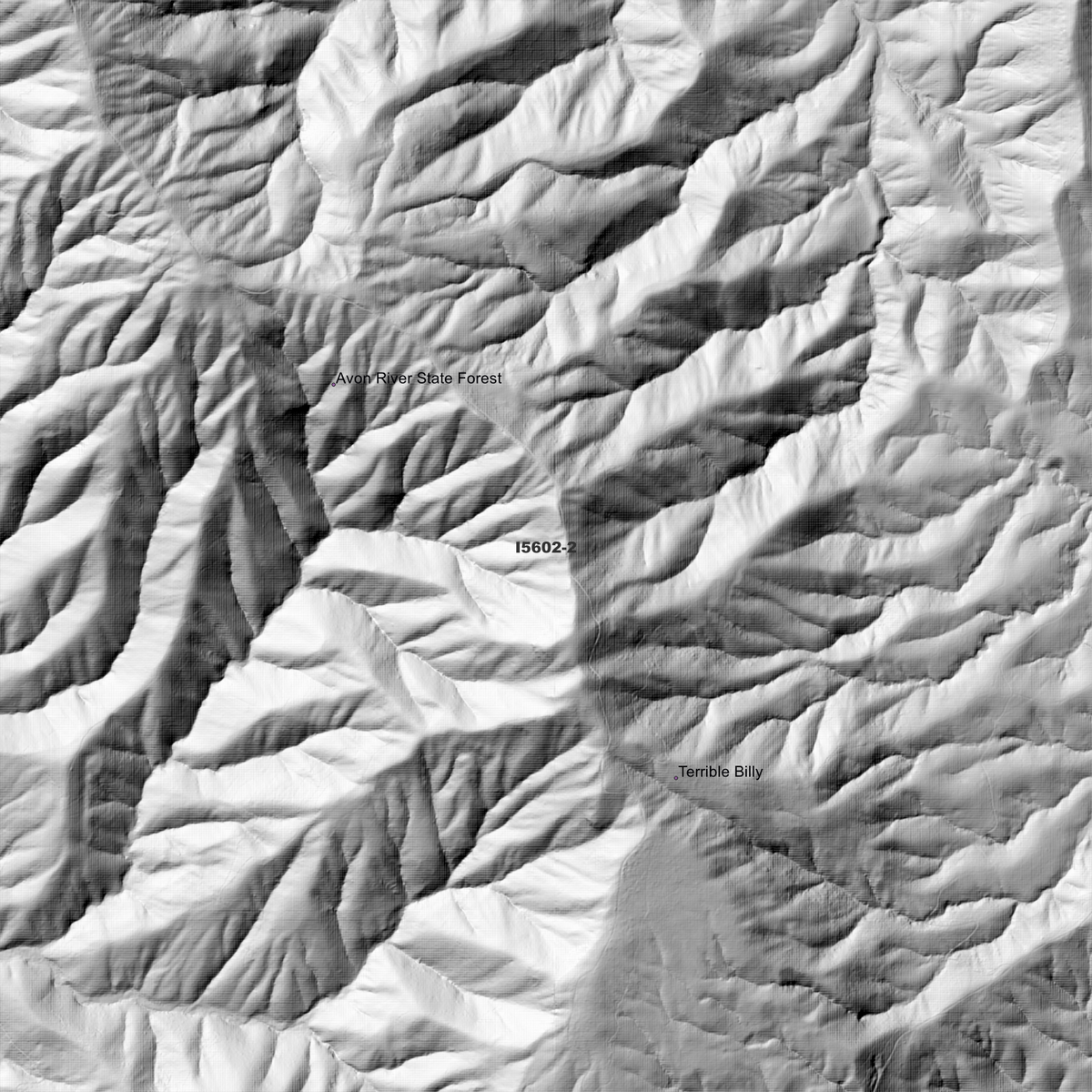 Craven 1m & 2m Digital Elevation Models (I5602-2)