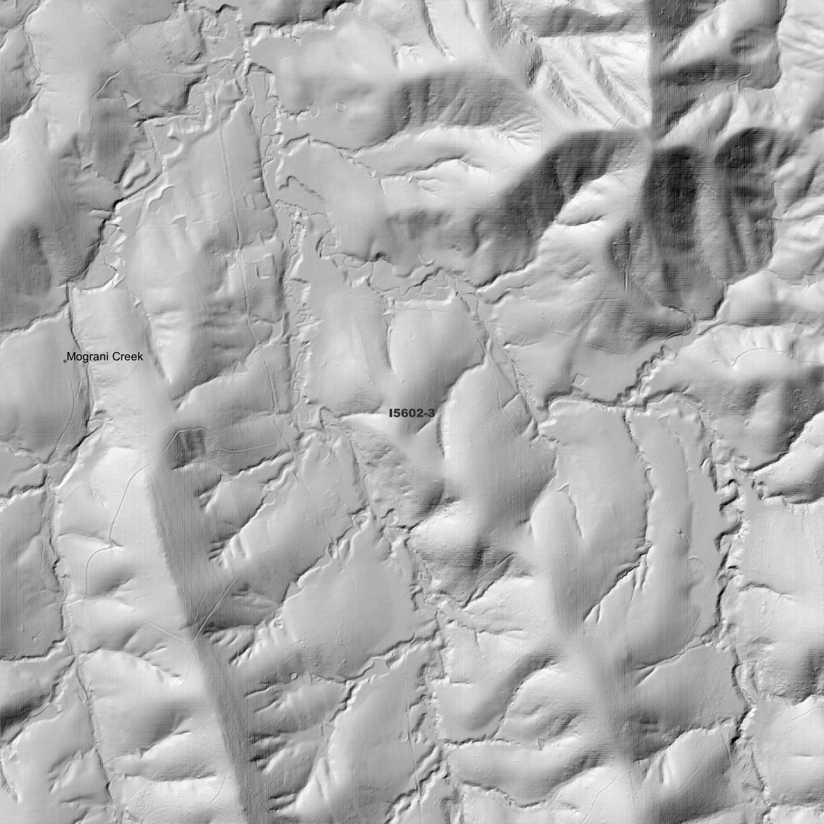Bunyah 1m Digital Elevation Models (I5602-3)