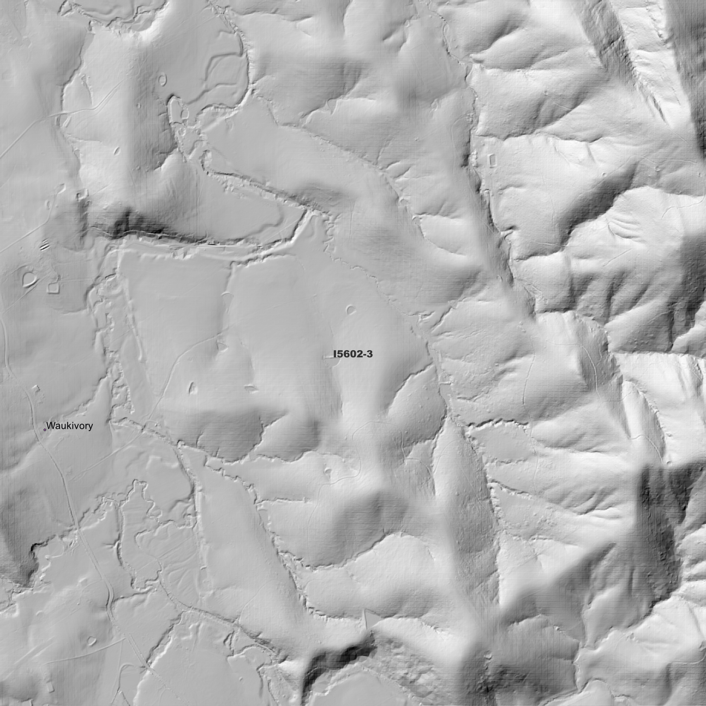 Bunyah 1m Digital Elevation Model (I5602-3)