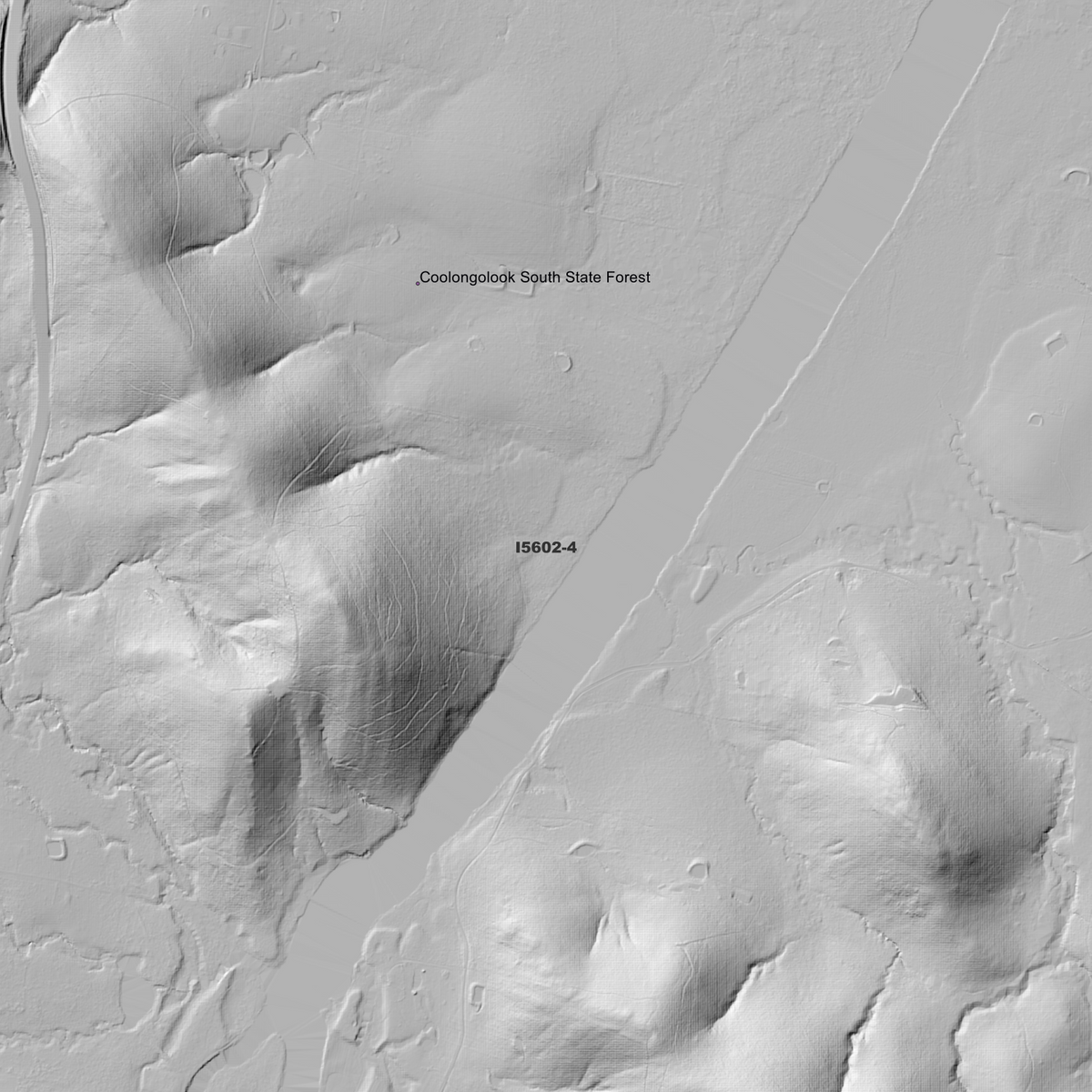 Nabiac 1m Digital Elevation Models (I5602-4)