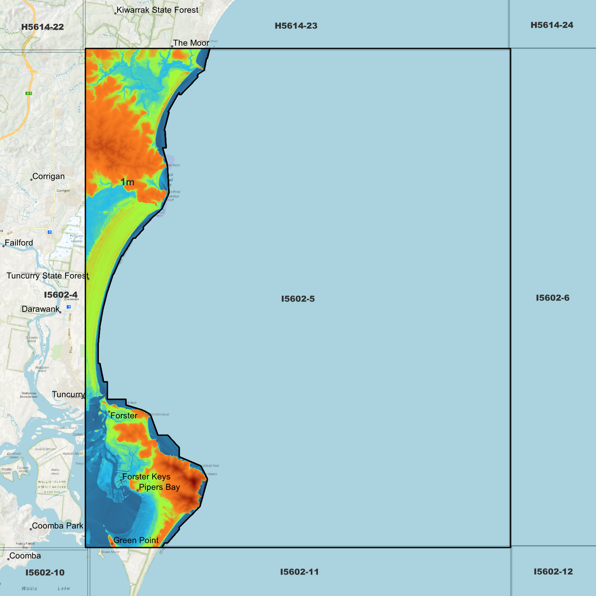 Forster 1m Digital Elevation Models (I5602-5)