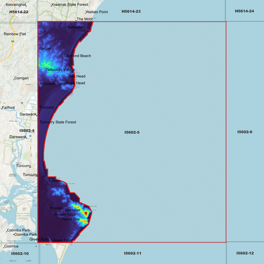 Forster 1m Digital Elevation Model (I5602-5)