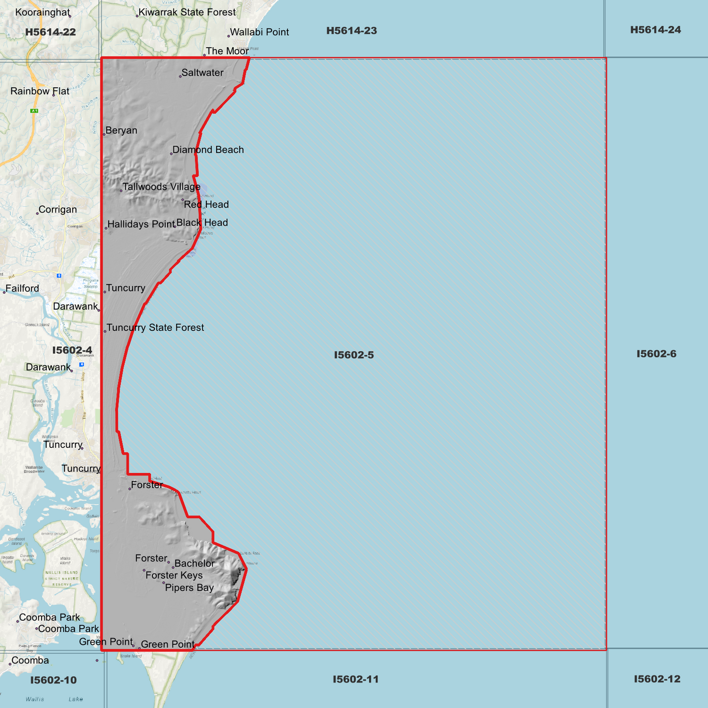 Forster 1m Digital Elevation Model (I5602-5)
