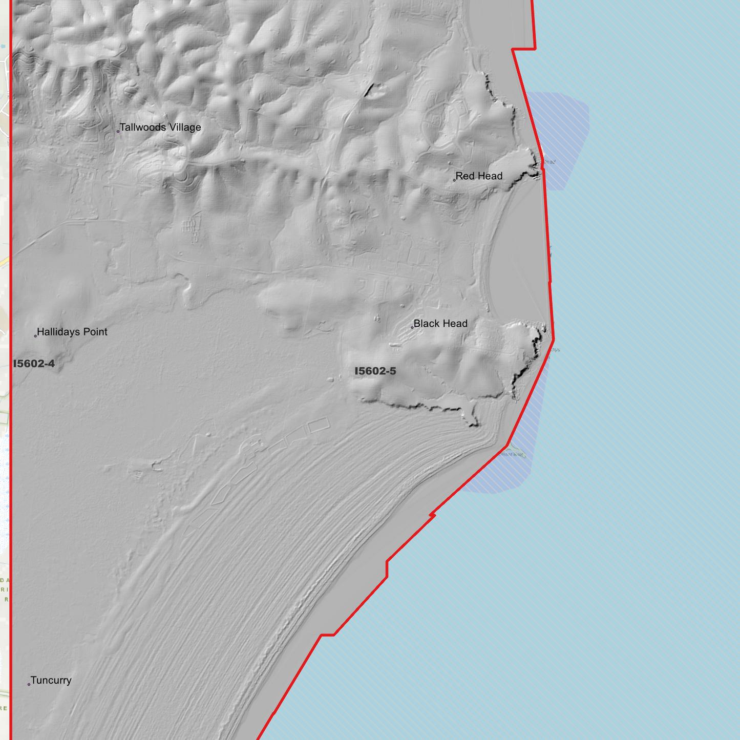Forster 1m Digital Elevation Model (I5602-5)