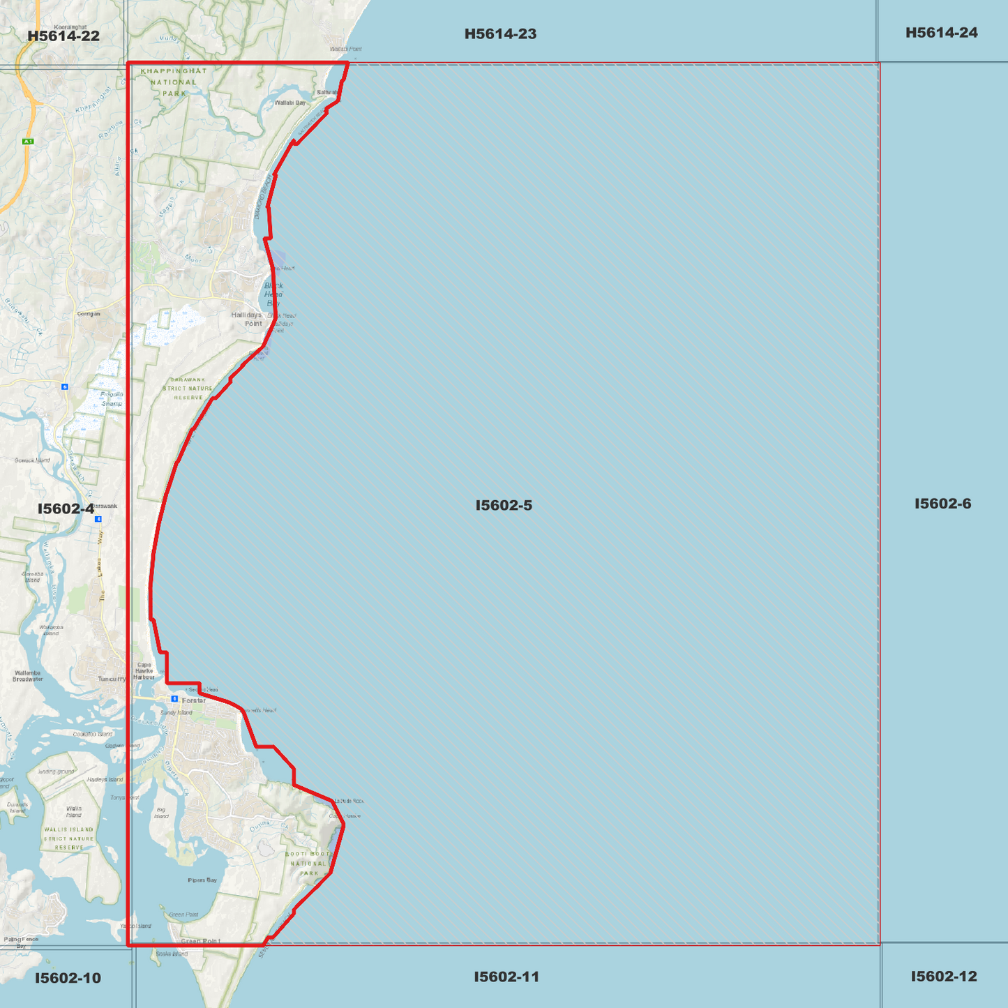 Forster 1m Digital Elevation Model (I5602-5)