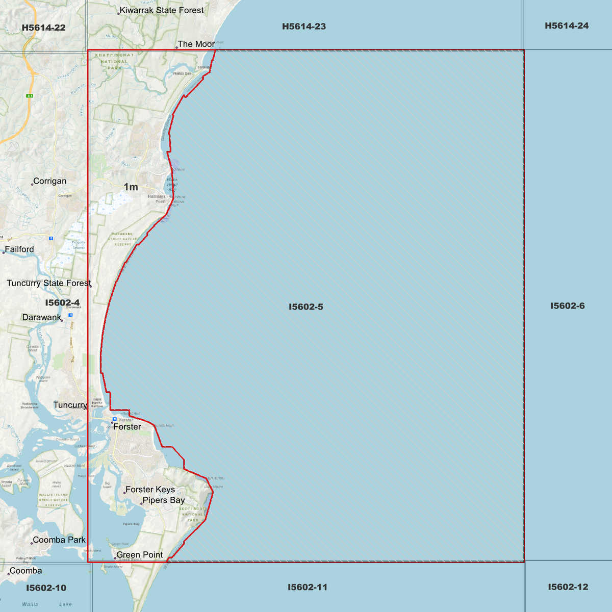 Forster 1m Digital Elevation Models (I5602-5)