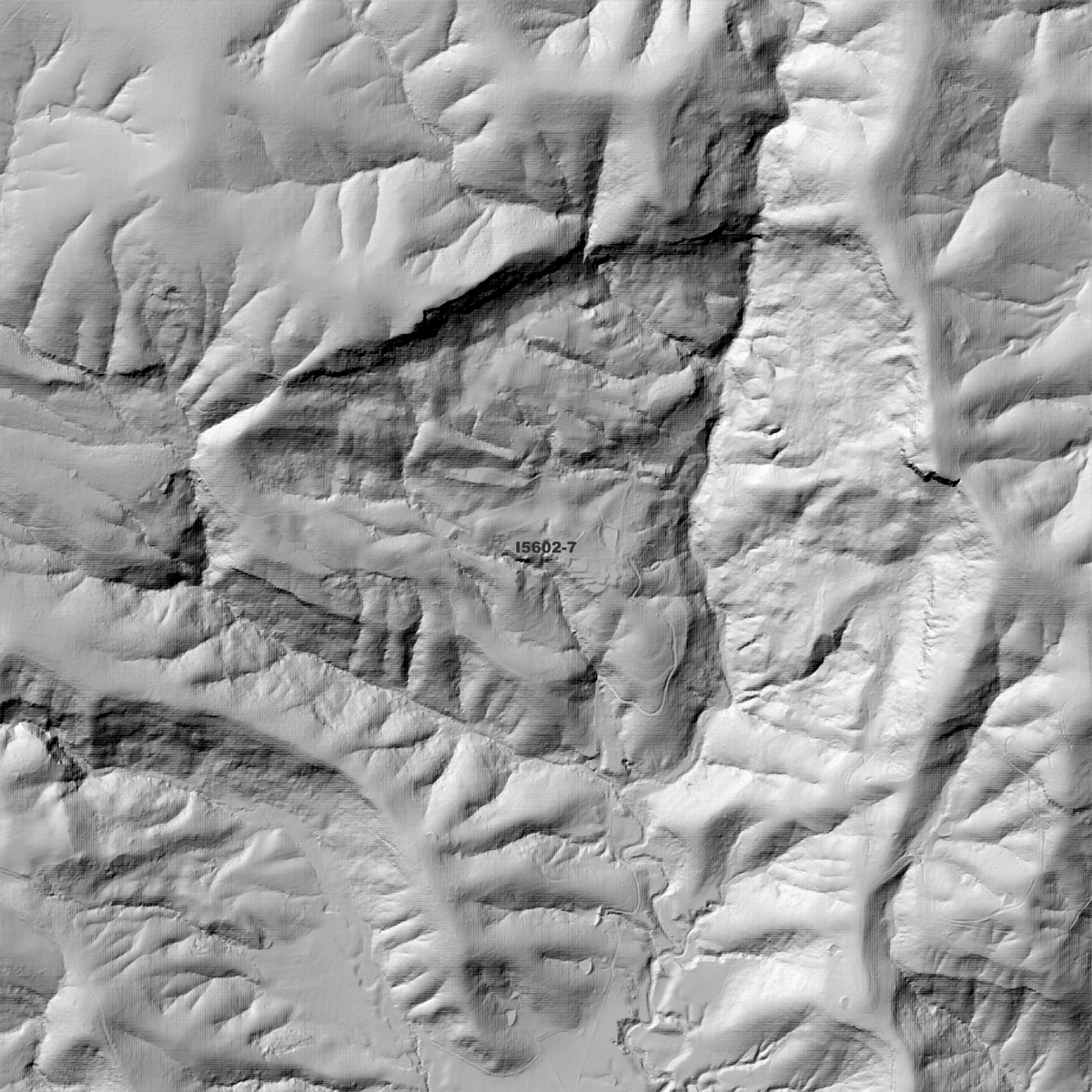 Gresford 1m & 2m Digital Elevation Models (I5602-7)