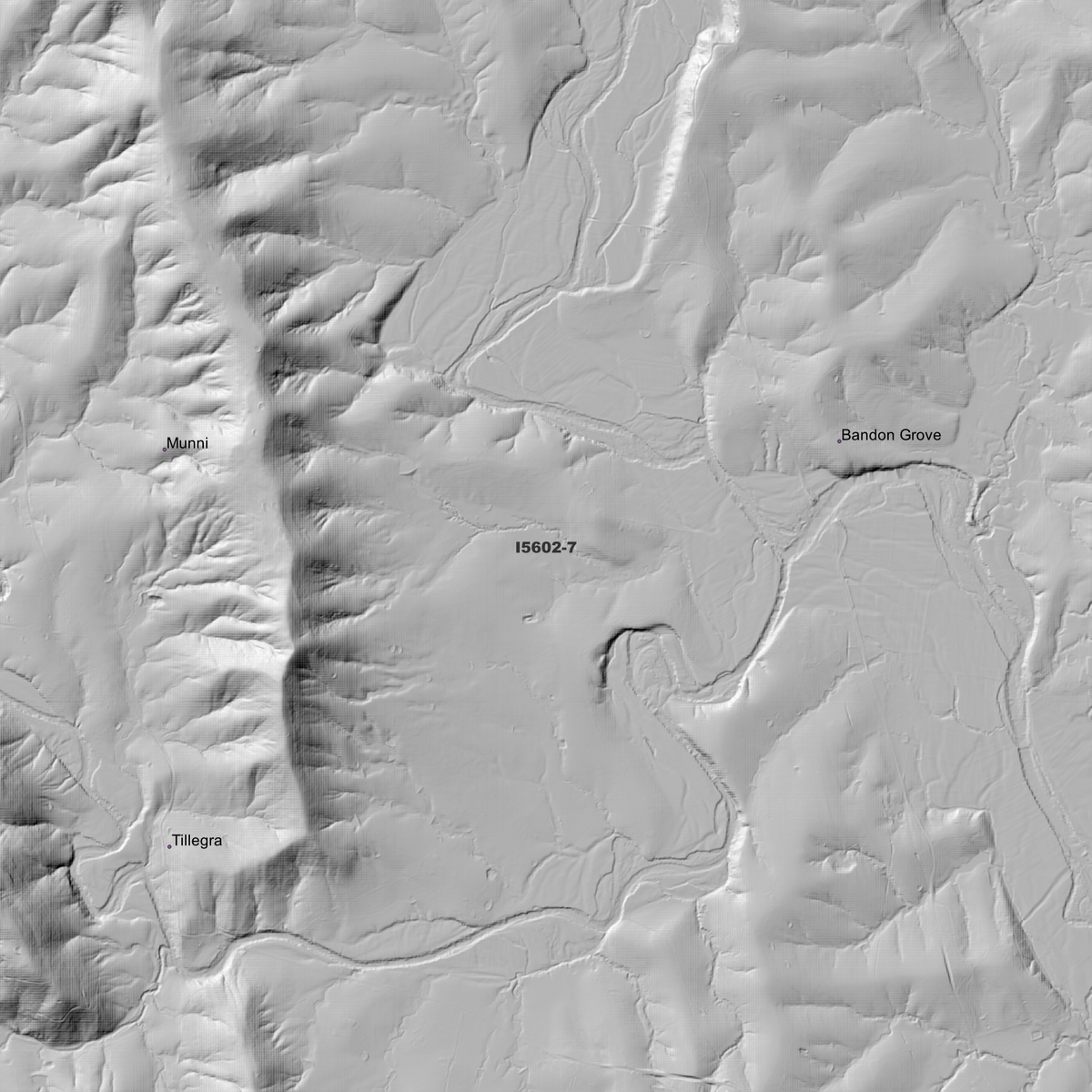 Gresford 1m & 2m Digital Elevation Models (I5602-7)