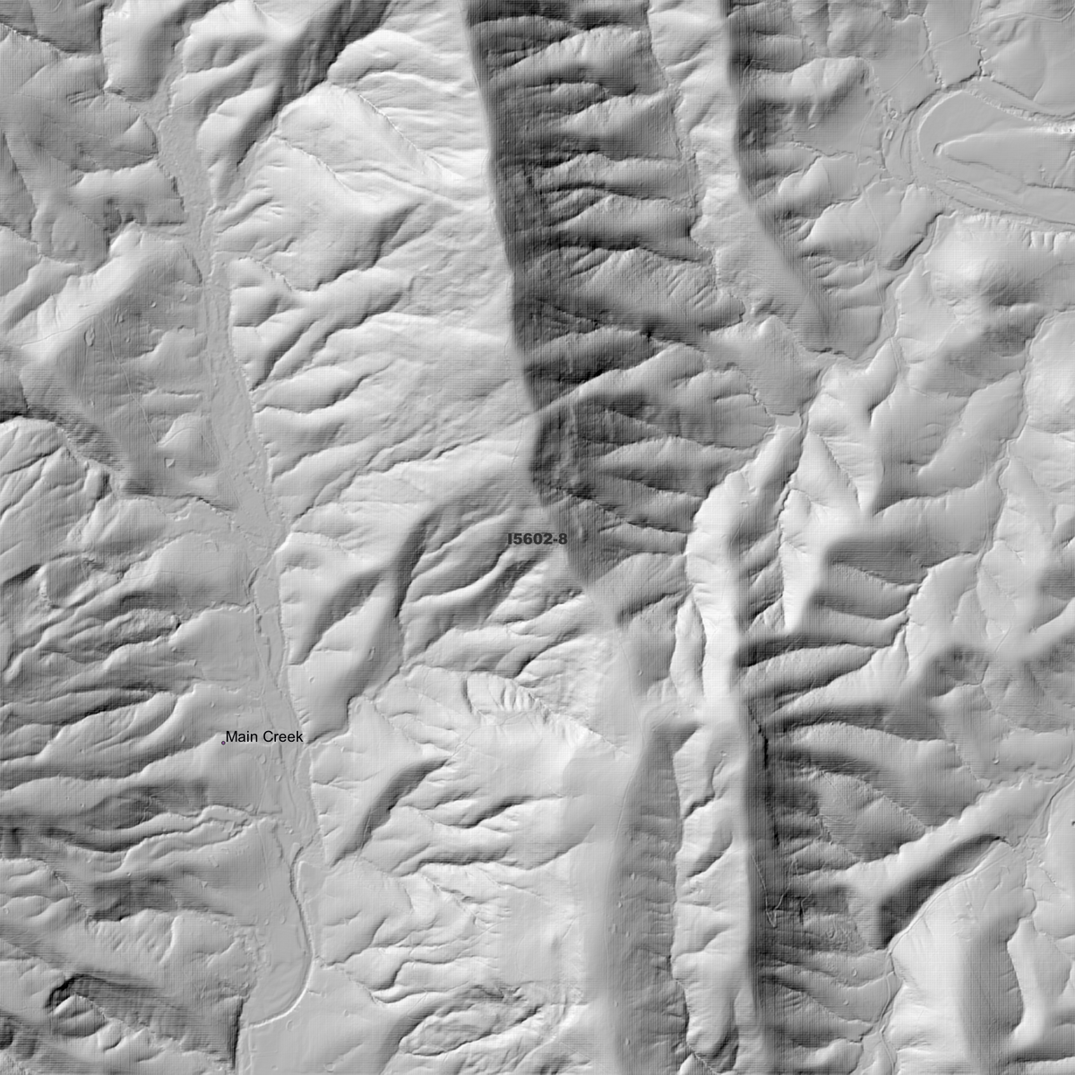 Stroud 1m & 2m Digital Elevation Models (I5602-8)