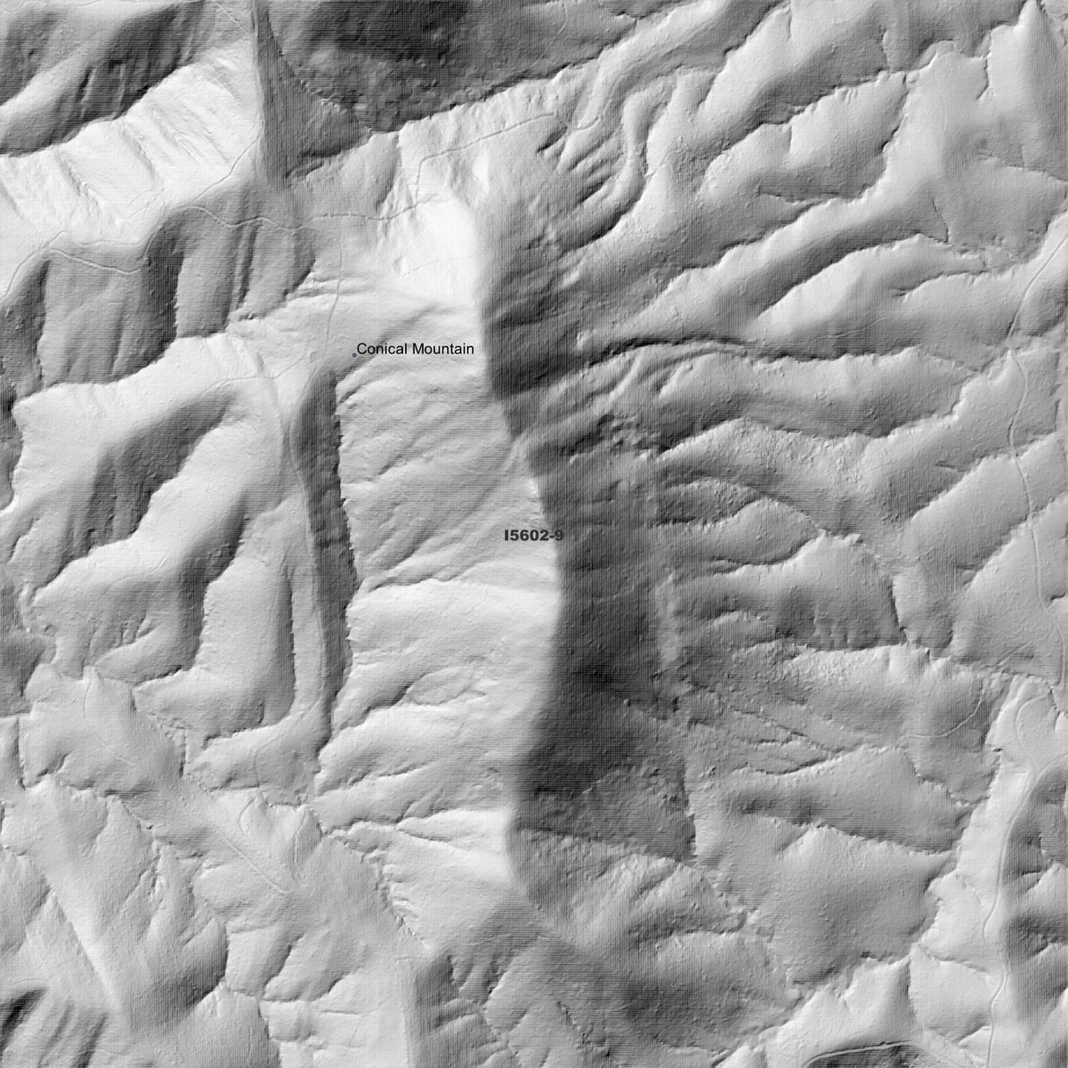 Bulahdelah 1m Digital Elevation Models (I5602-9)