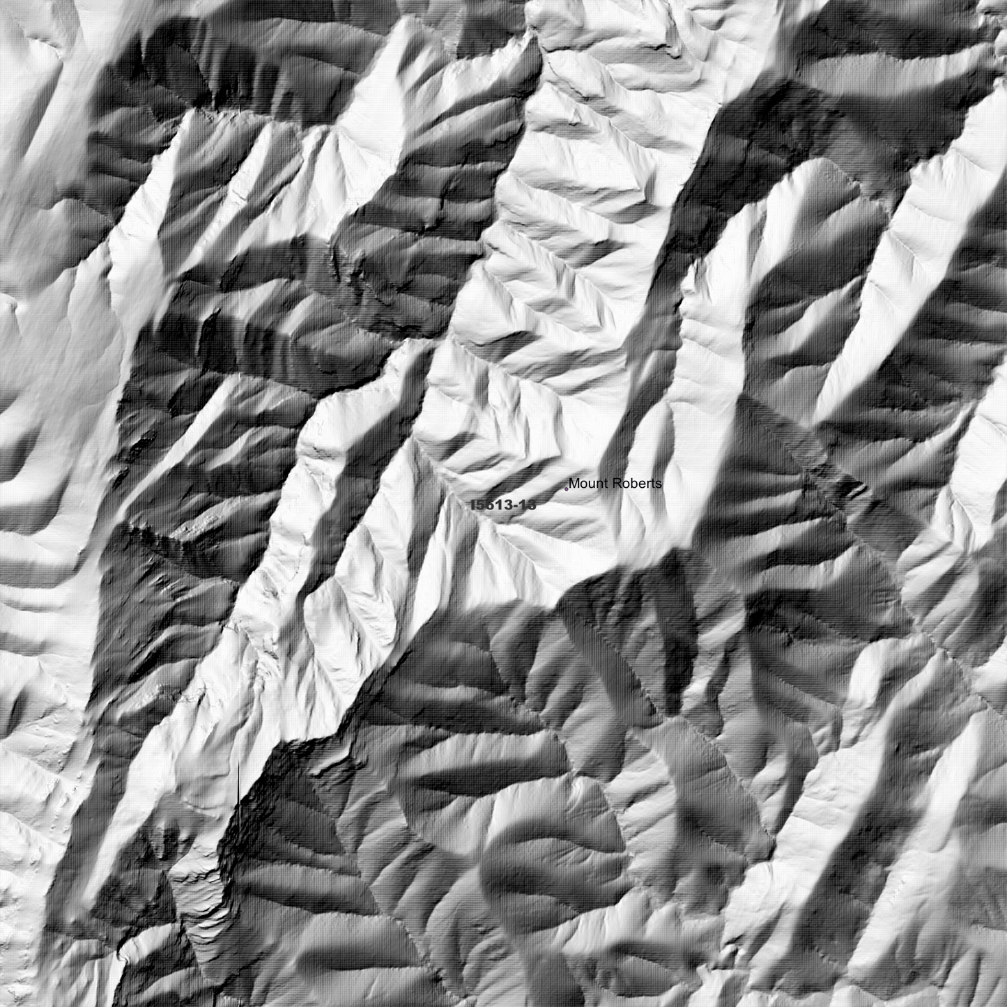 Yadboro 1m & 2m Digital Elevation Models (I5613-13)