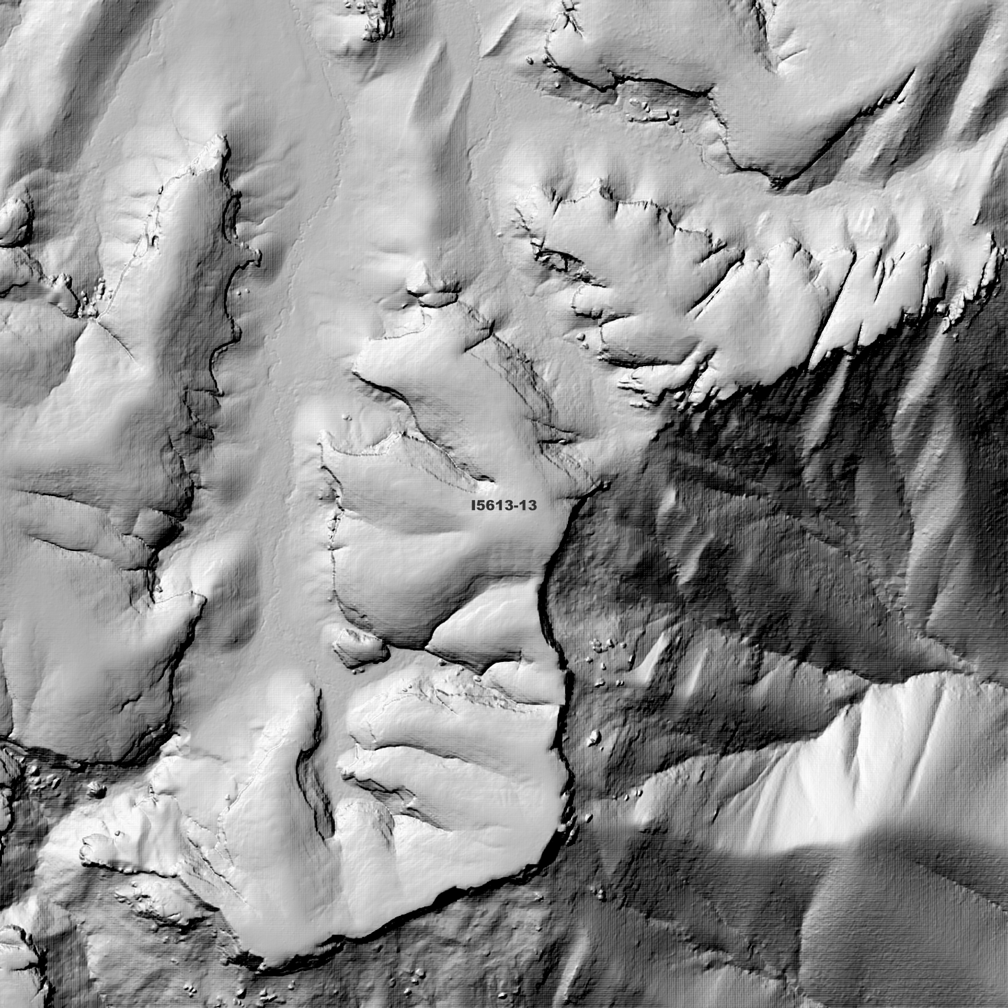 Yadboro 1m & 2m Digital Elevation Models (I5613-13)