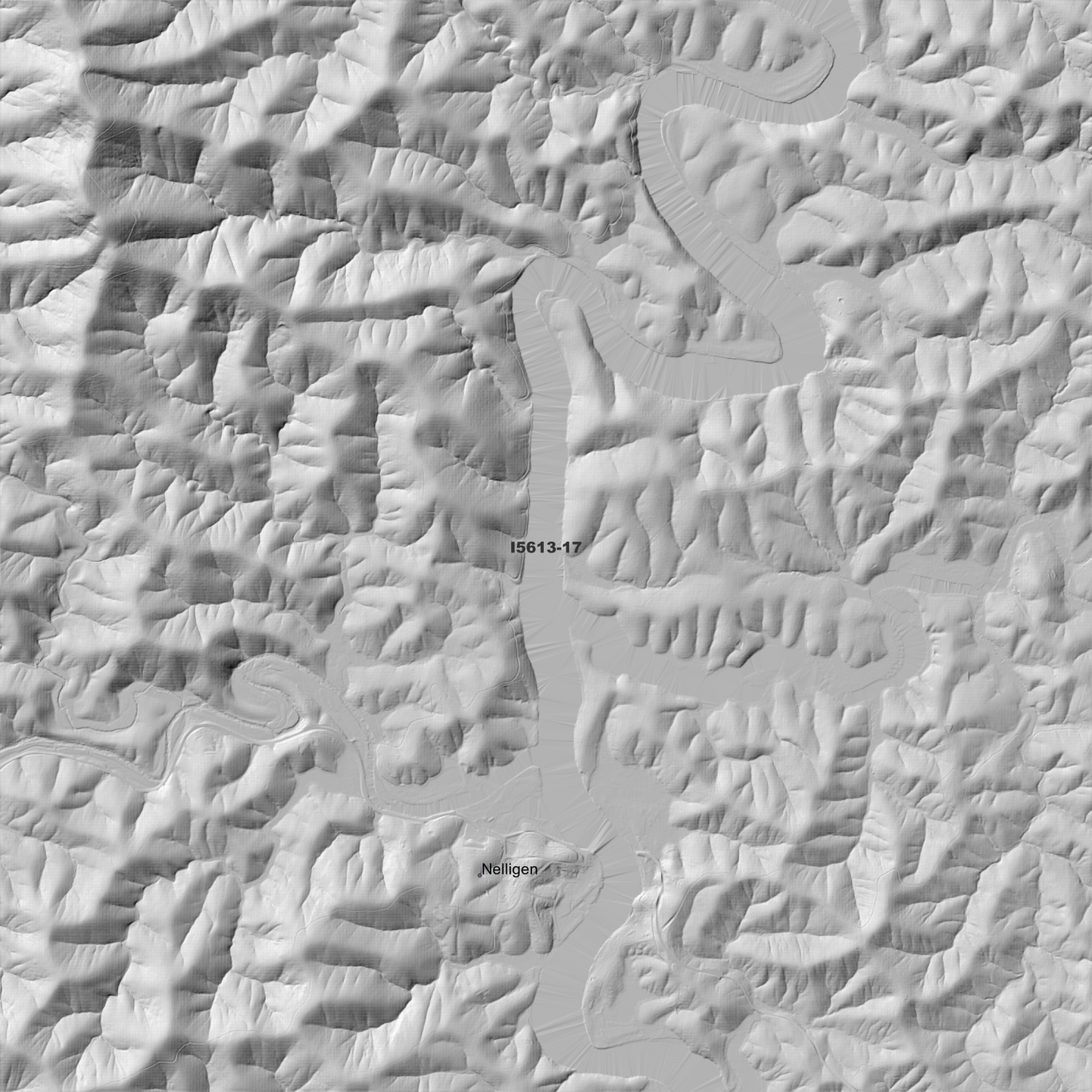 Nelligen 1m Digital Elevation Model (I5613-17)