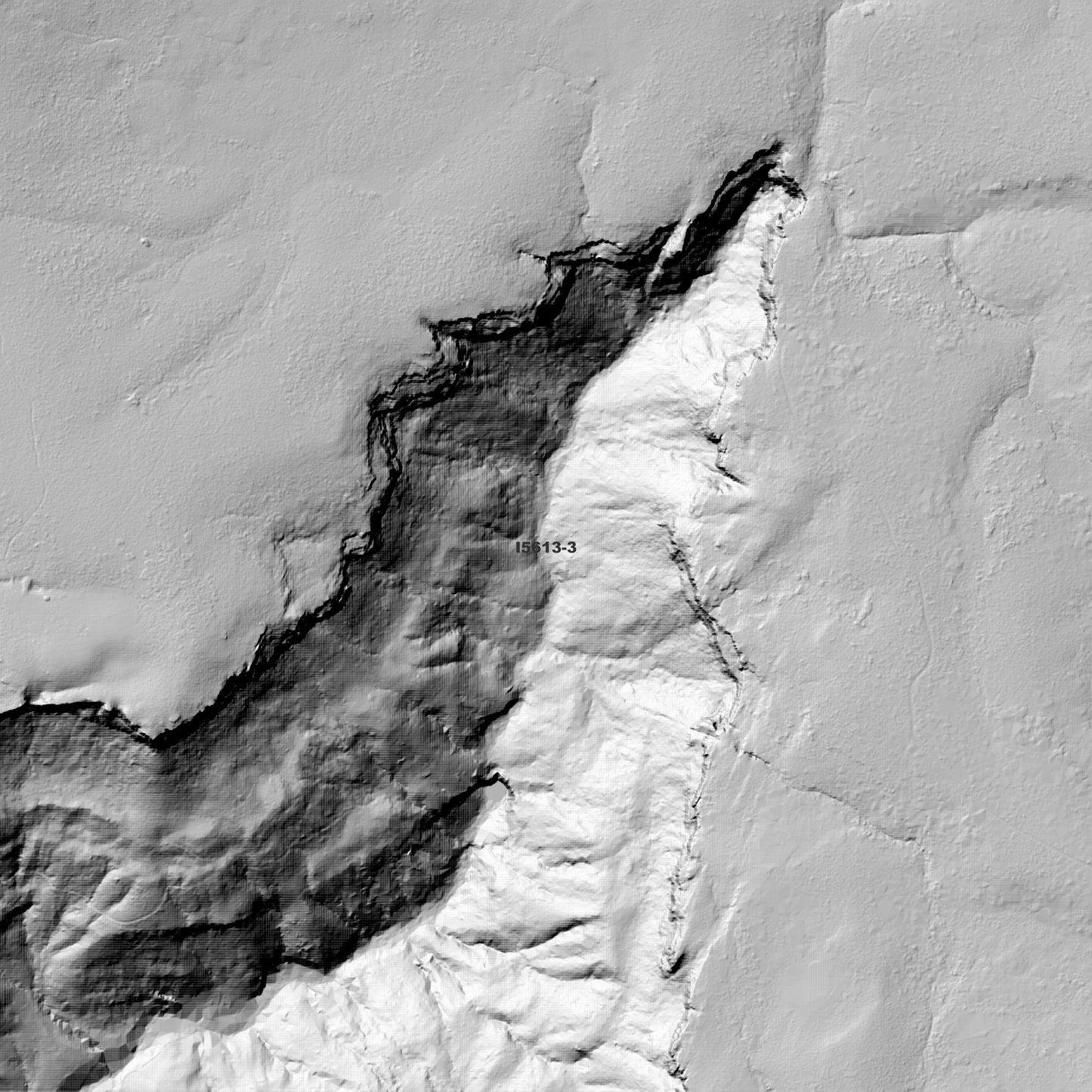 Burrawang 1m Digital Elevation Model (I5613-3)