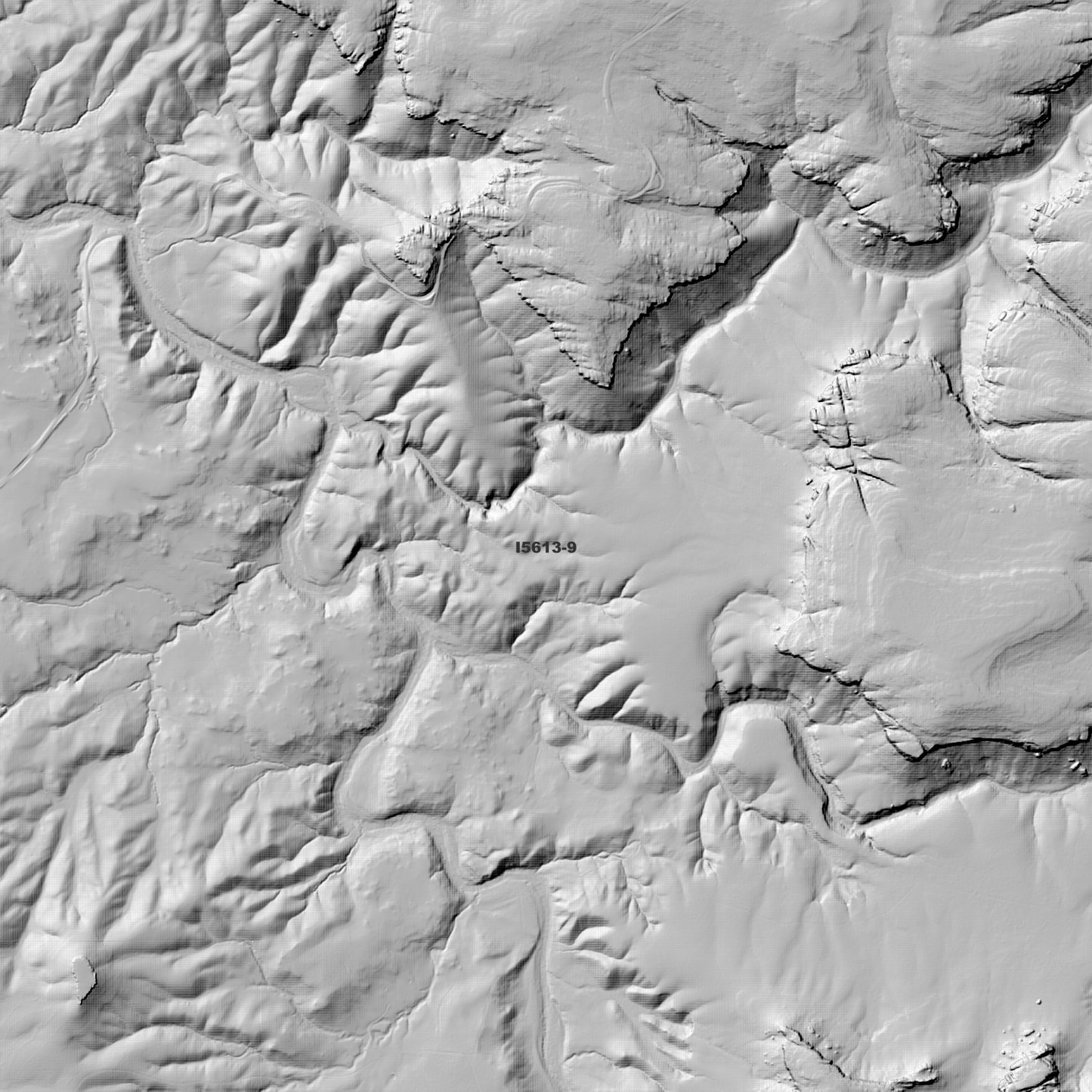 Nerriga 1m & 2m Digital Elevation Models (I5613-9)