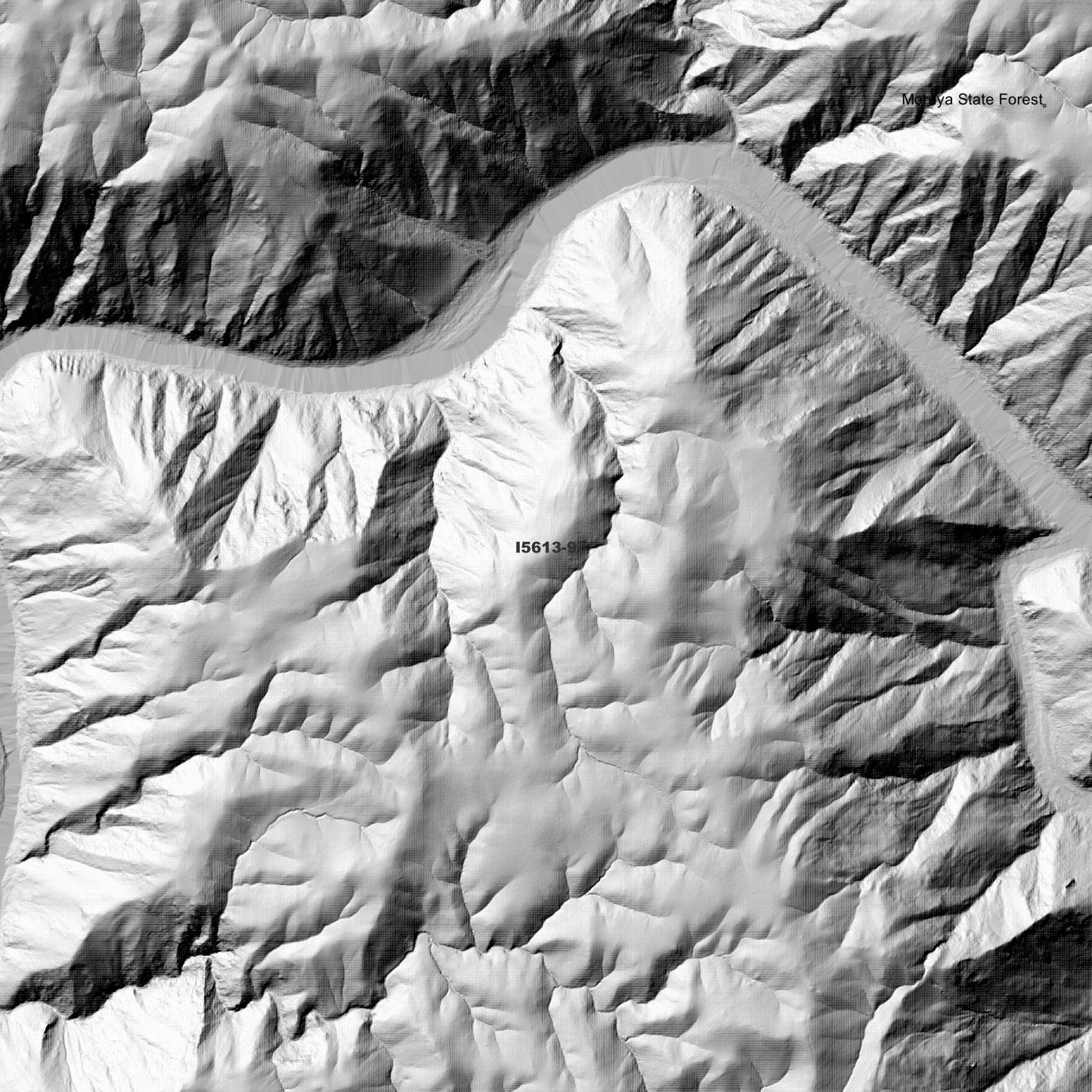 Nerriga 1m & 2m Digital Elevation Models (I5613-9)