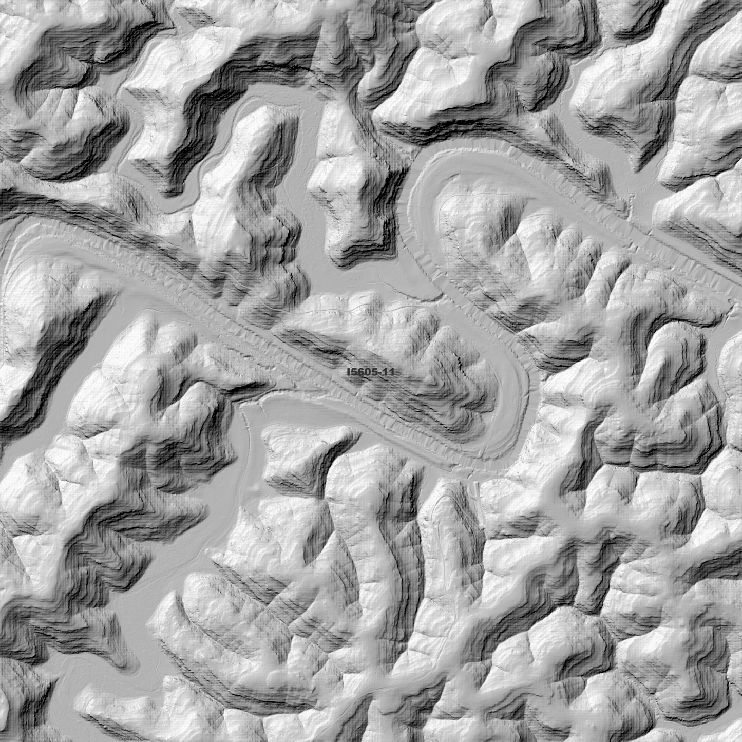 Wisemans 1m & 2m Digital Elevation Models (I5605-11)