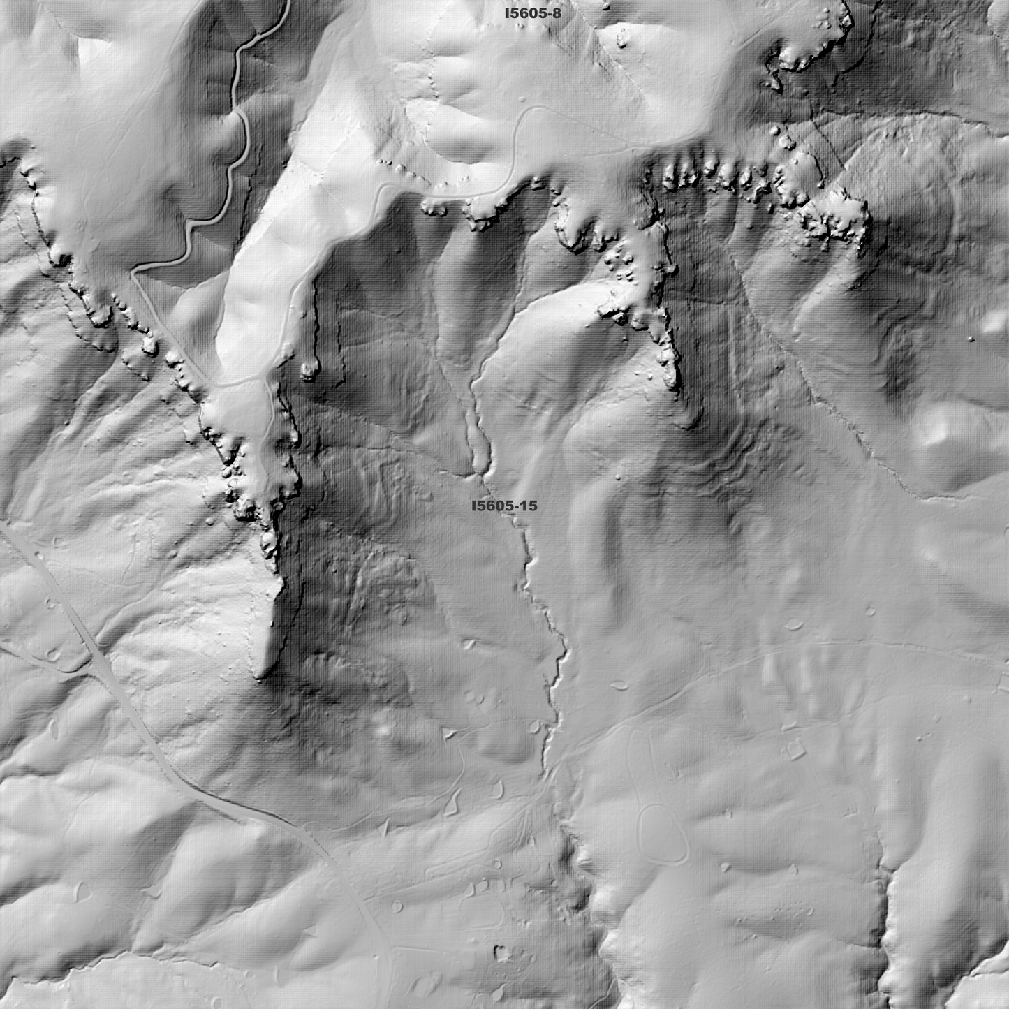 Hartley 1m & 2m Digital Elevation Models (I5605-15)