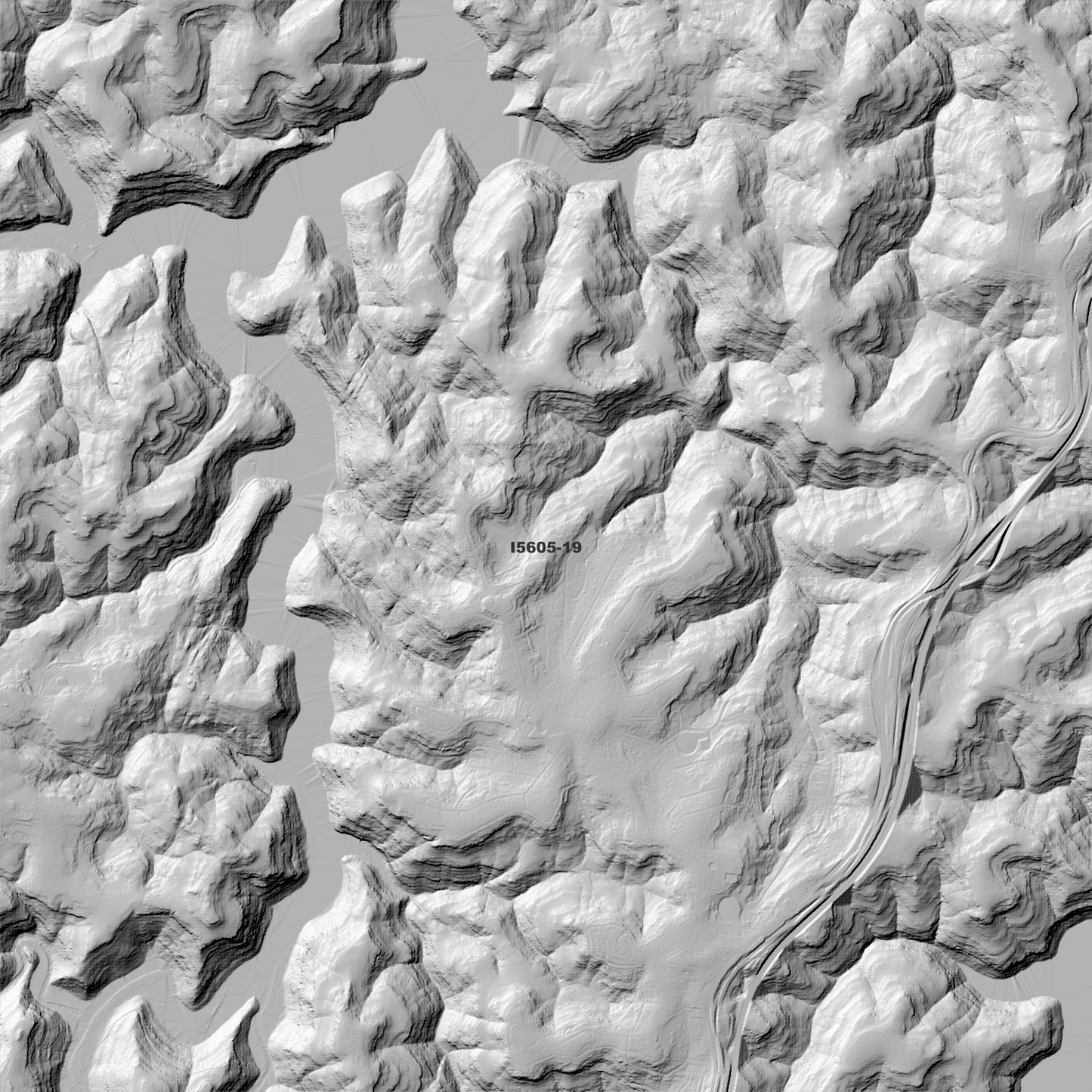 Hornsby 1m Digital Elevation Model (I5605-19)