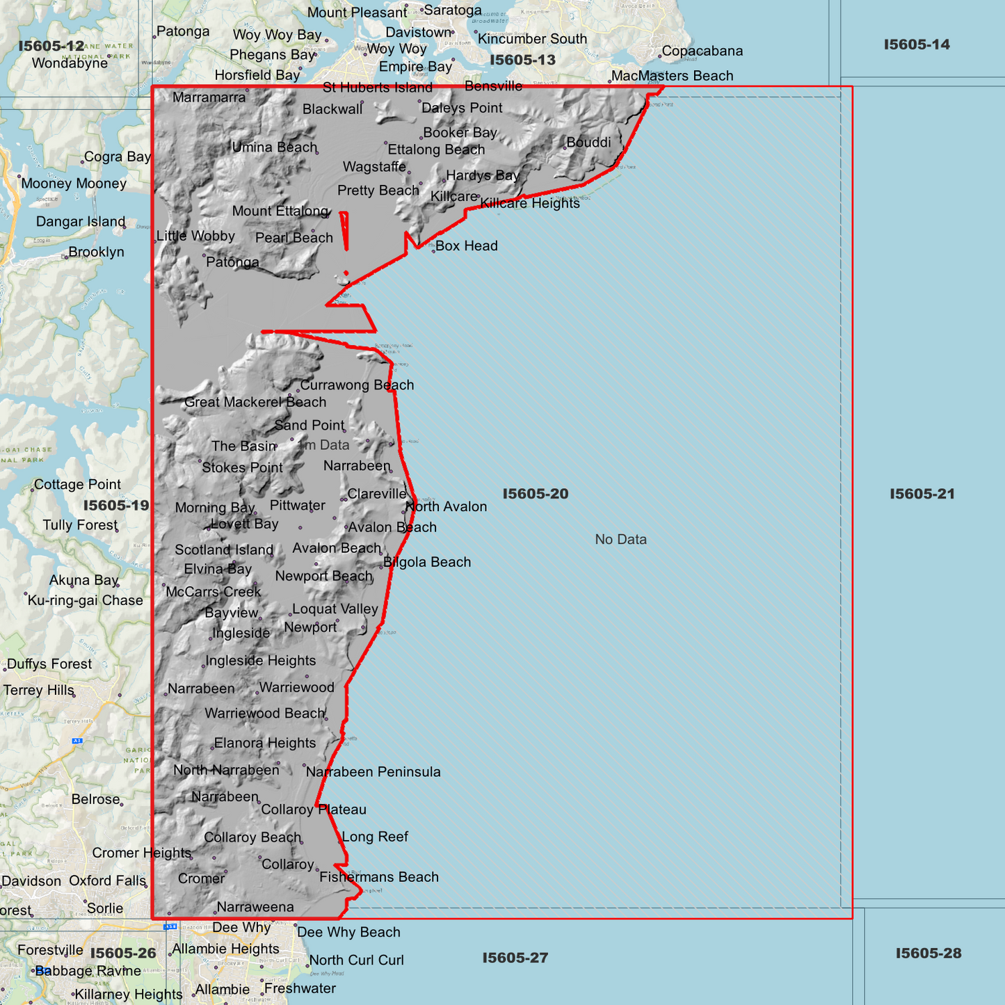 Newport 1m Digital Elevation Model (I5605-20)