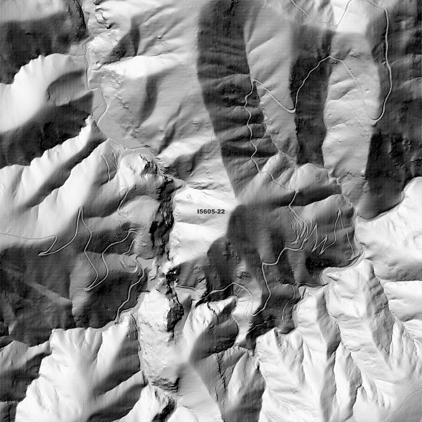 Jenolan 1m & 2m Digital Elevation Models (I5605-22)
