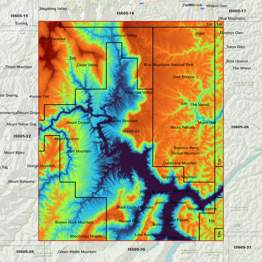 Jamison 1m & 2m Digital Elevation Models (I5605-23)