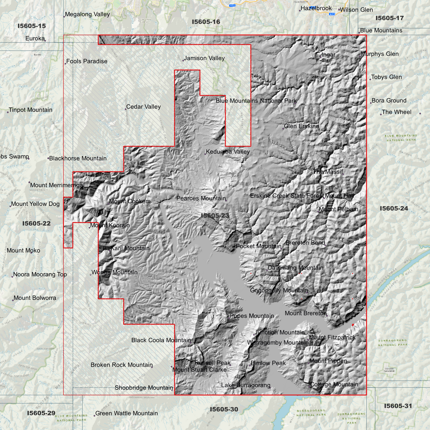 Jamison 1m & 2m Digital Elevation Models (I5605-23)