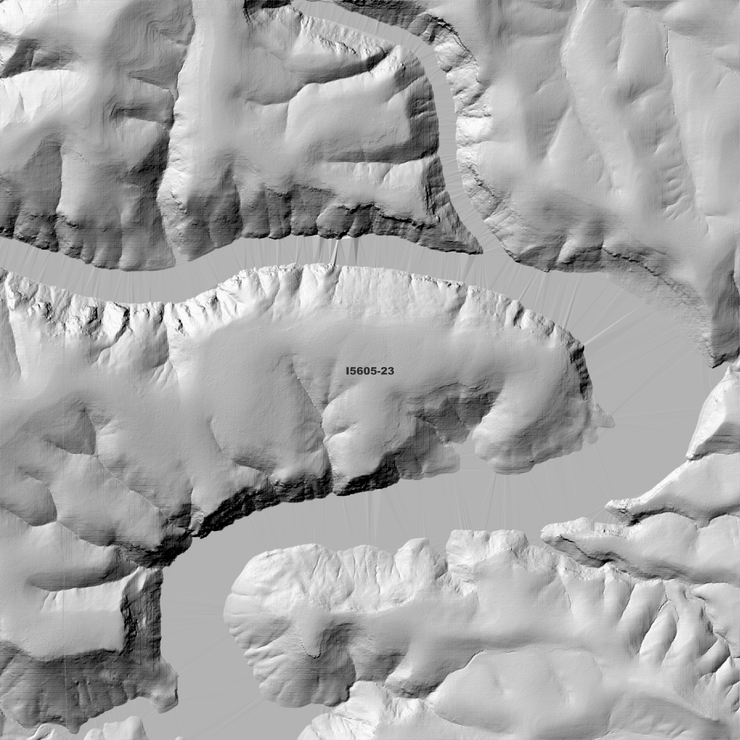 Jamison 1m & 2m Digital Elevation Models (I5605-23)