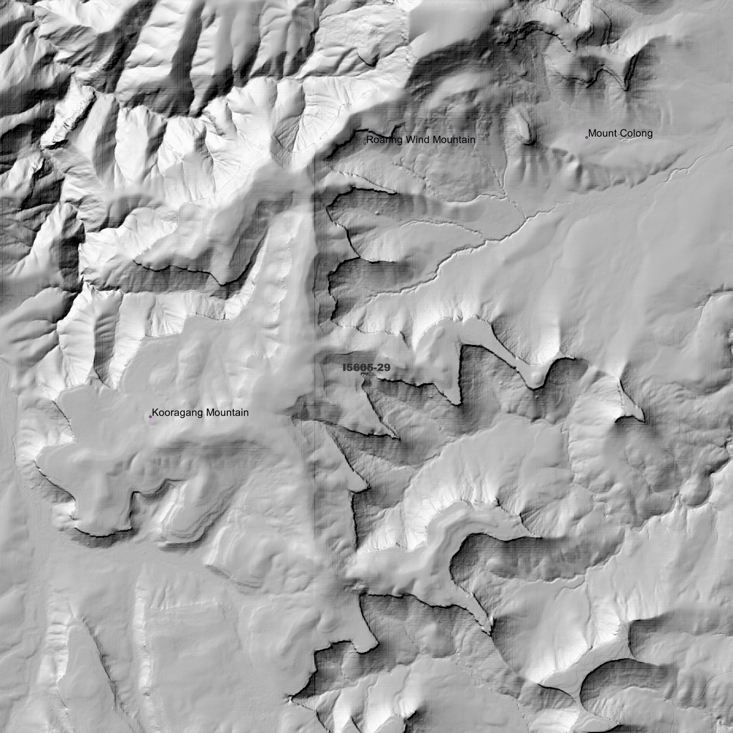Bindook 1m & 2m Digital Elevation Models (I5605-29)