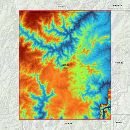 Bindook 1m & 2m Digital Elevation Models (I5605-29)