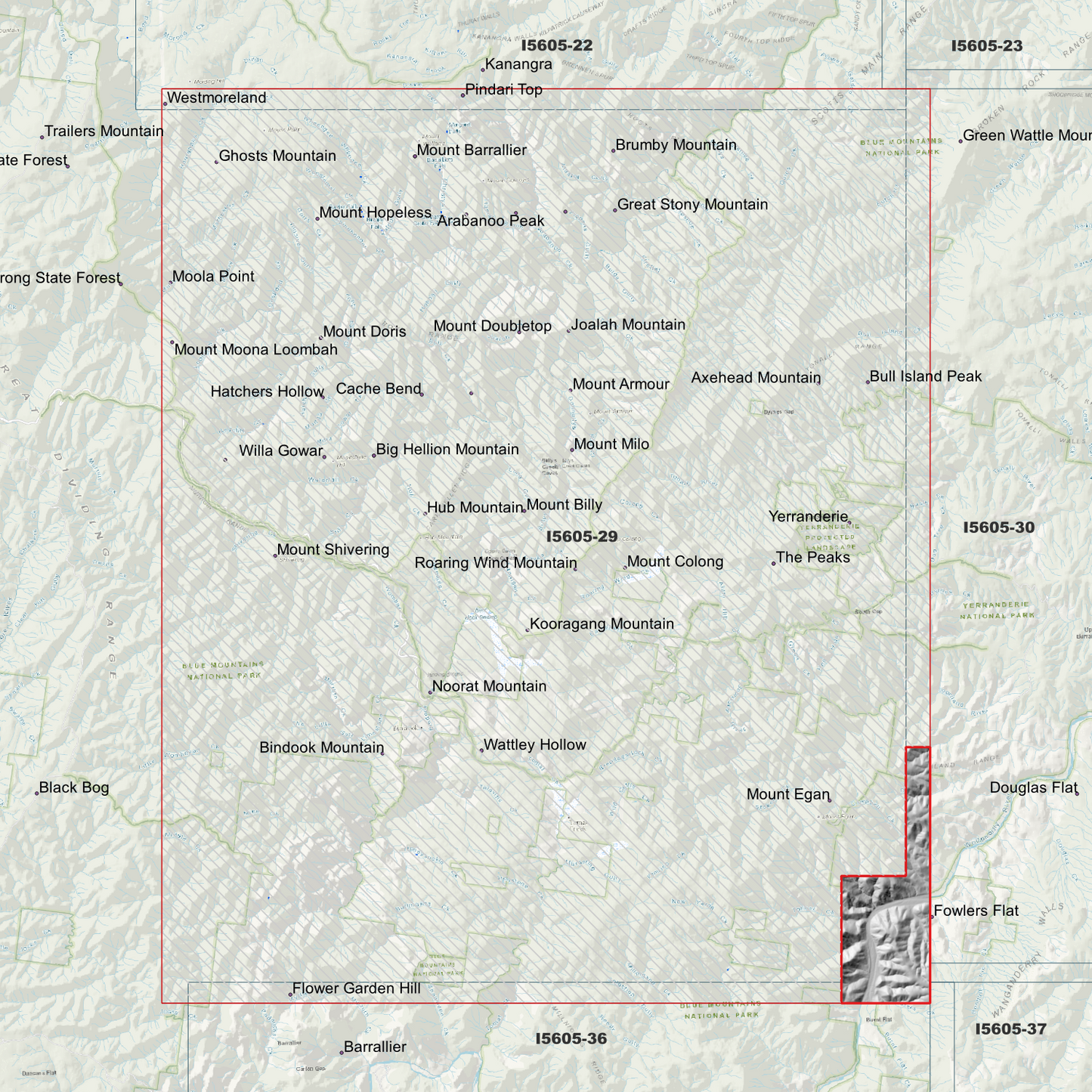 Bindook 1m & 2m Digital Elevation Models (I5605-29)
