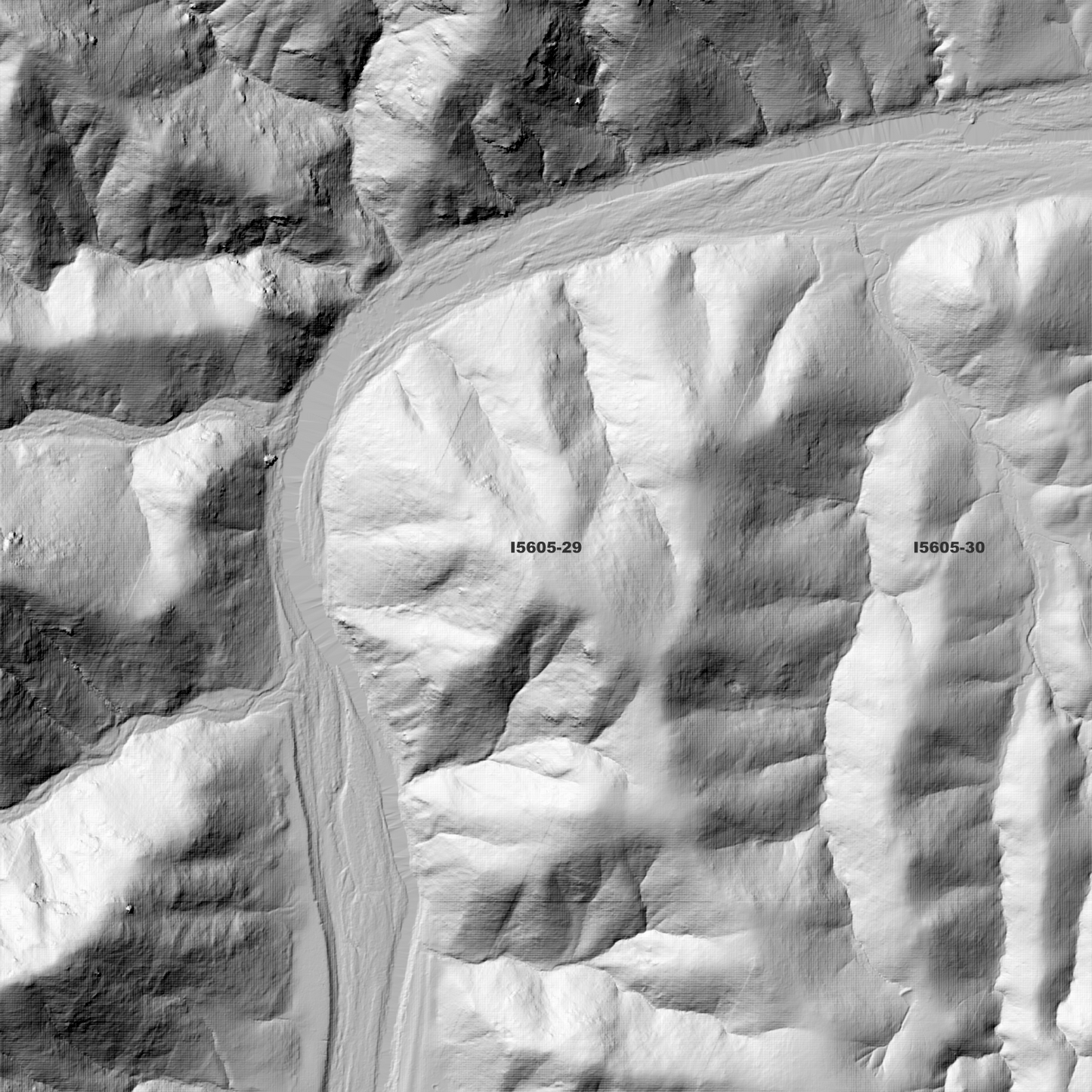 Bindook 1m & 2m Digital Elevation Models (I5605-29)