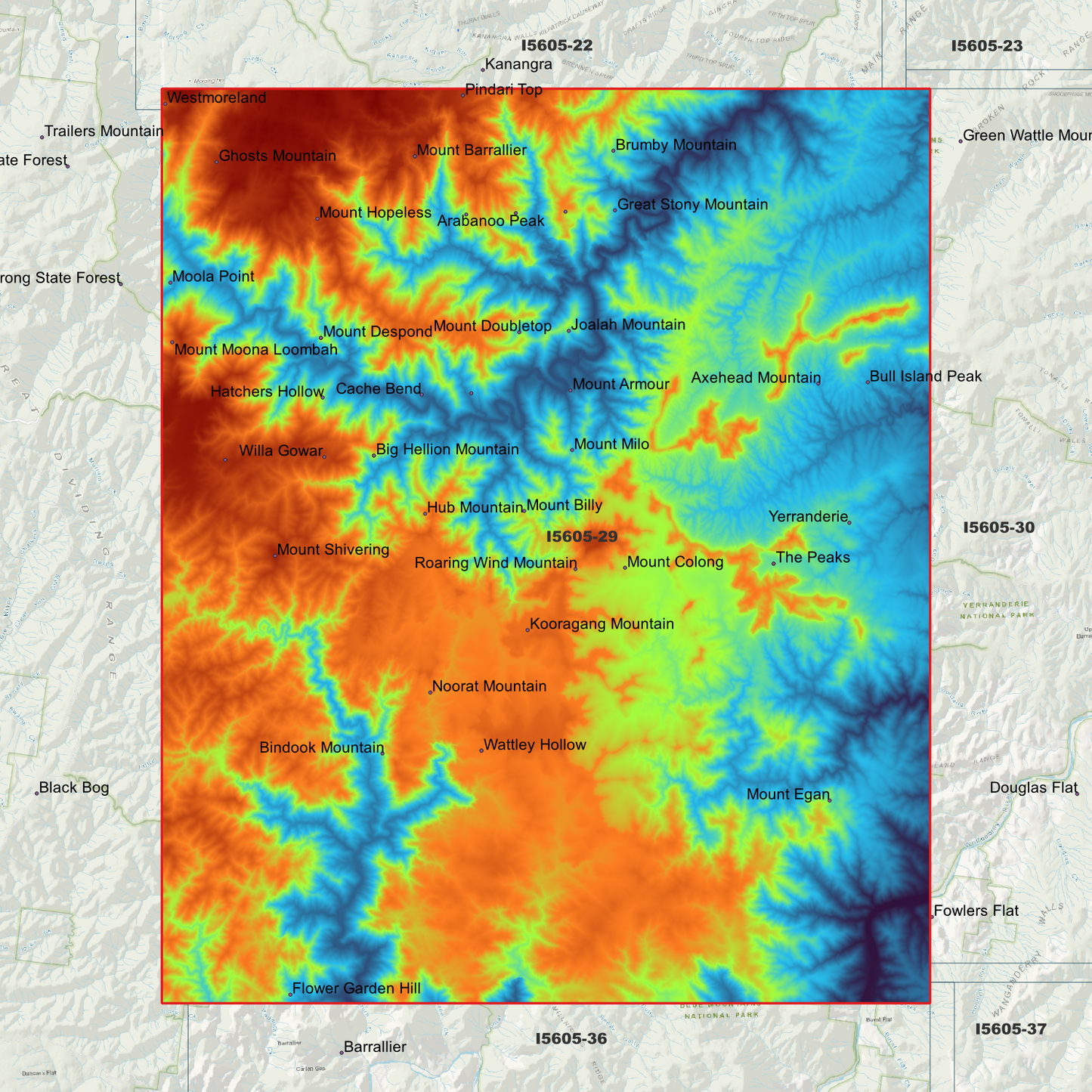 Bindook 1m & 2m Digital Elevation Models (I5605-29)