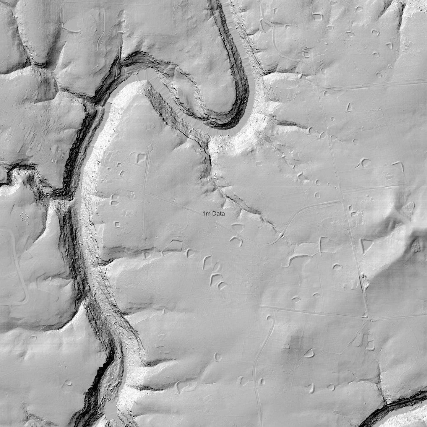 Picton 1m Digital Elevation Model (I5605-31)