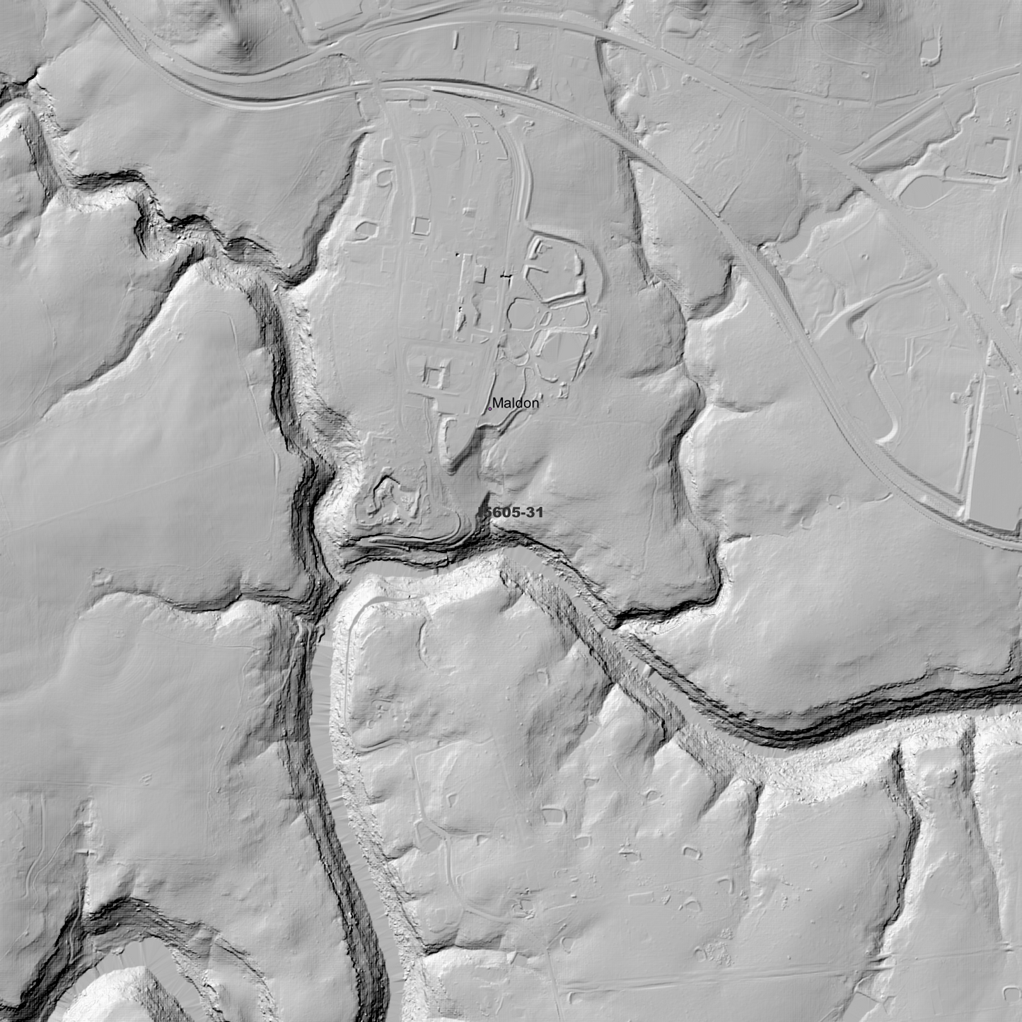 Picton 1m Digital Elevation Model (I5605-31)
