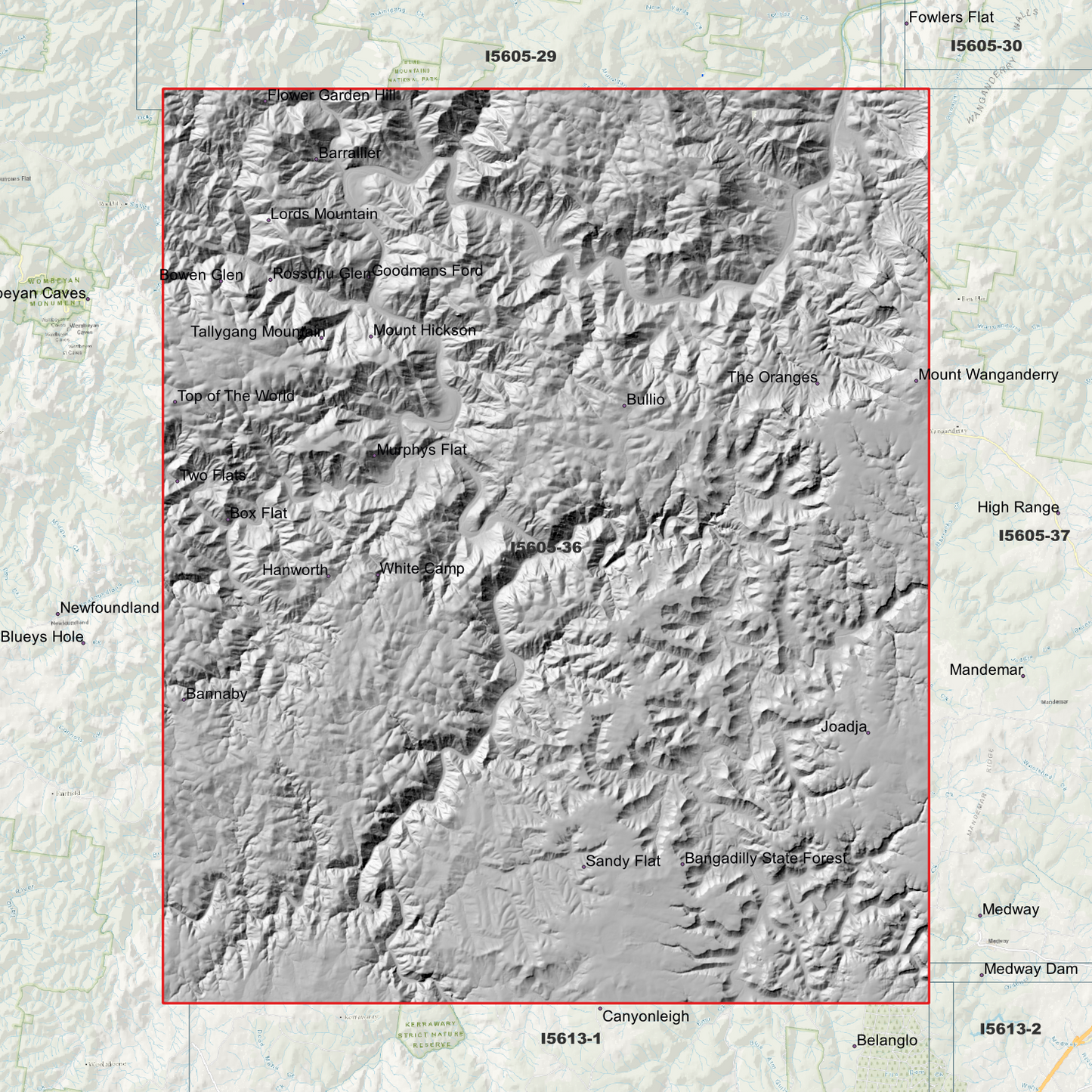 Bullio 1m & 2m Digital Elevation Models (I5605-36)